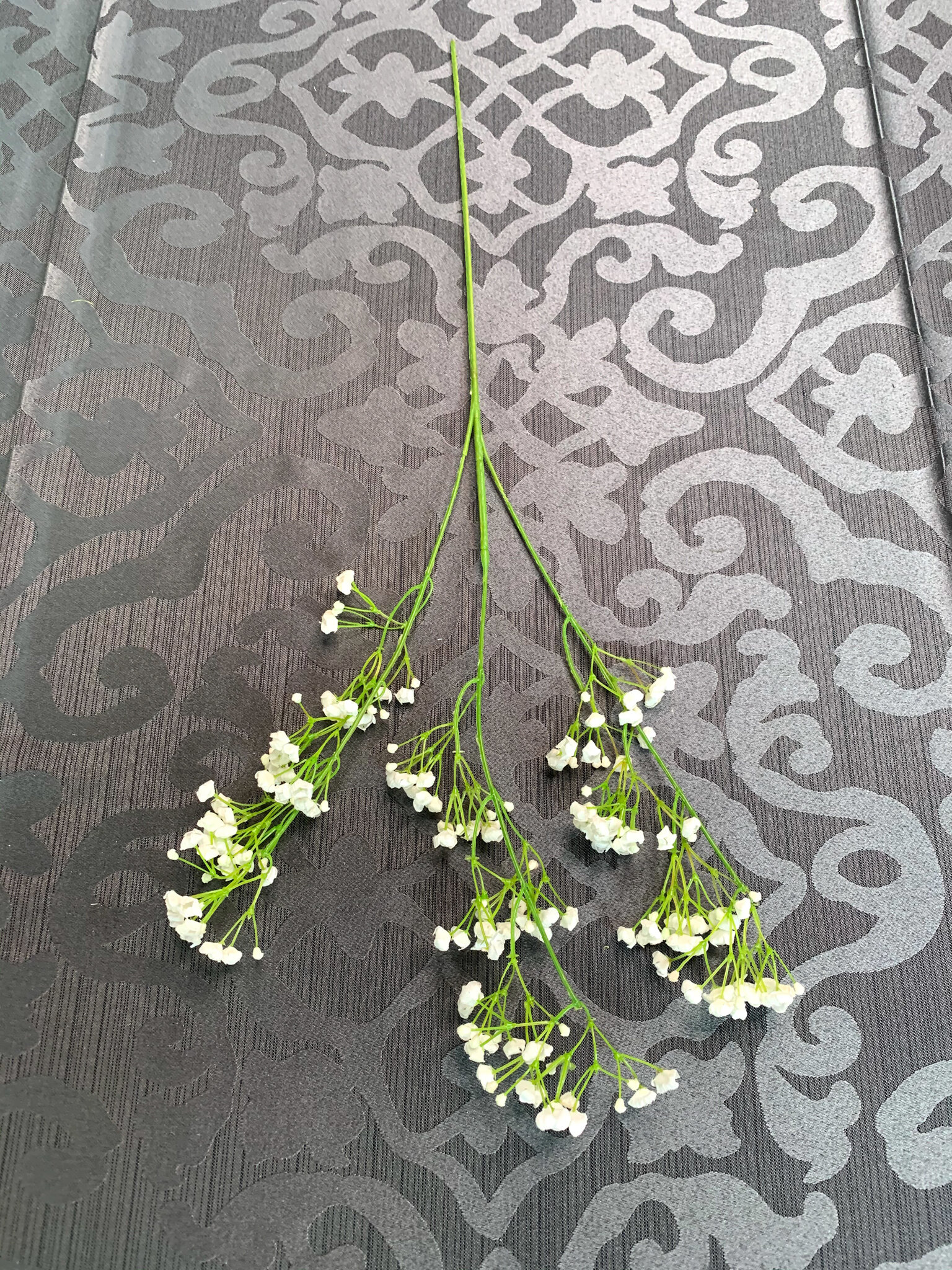 Baby's Breath (FL42)