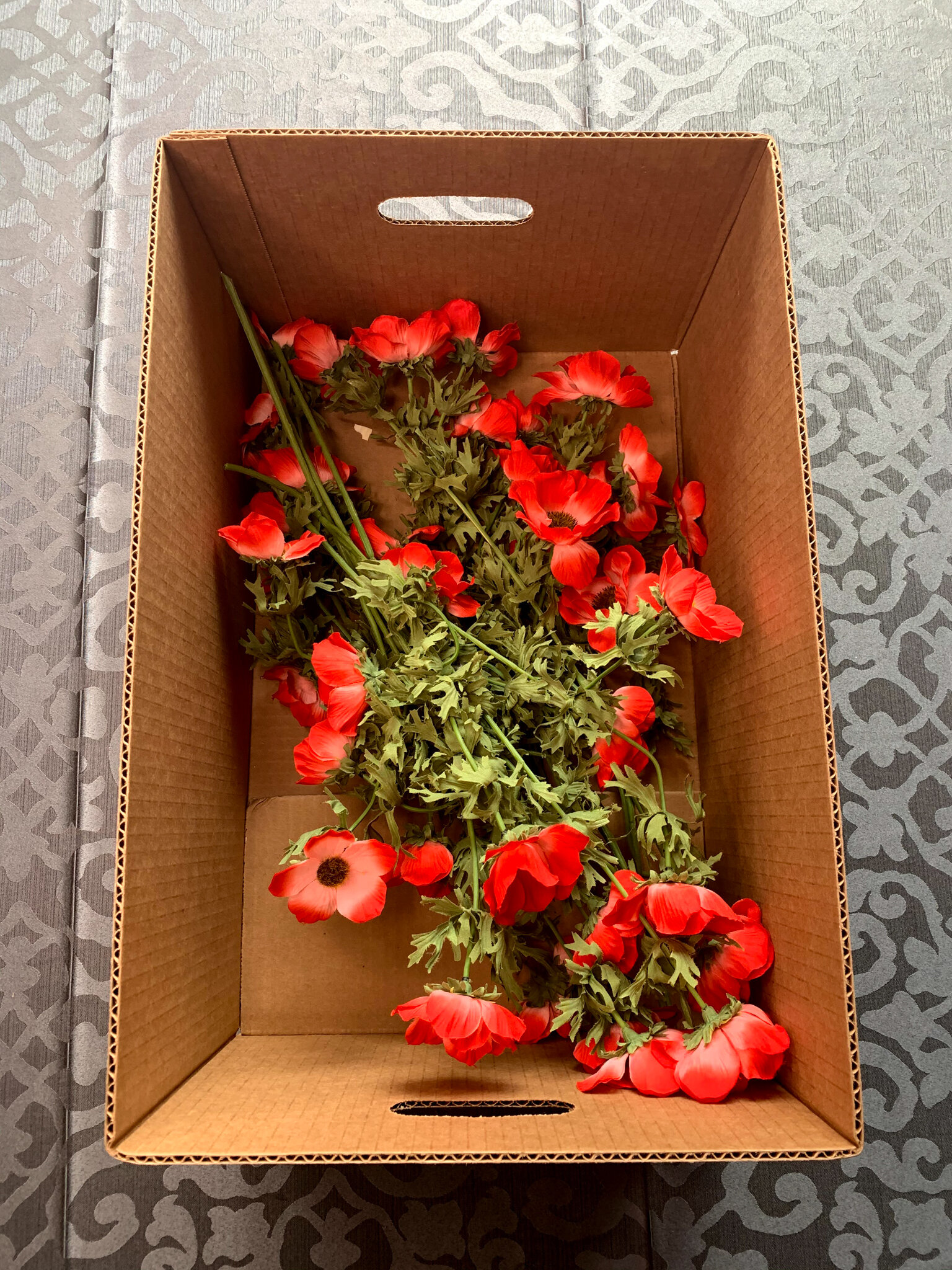 IMG_4586.jpg