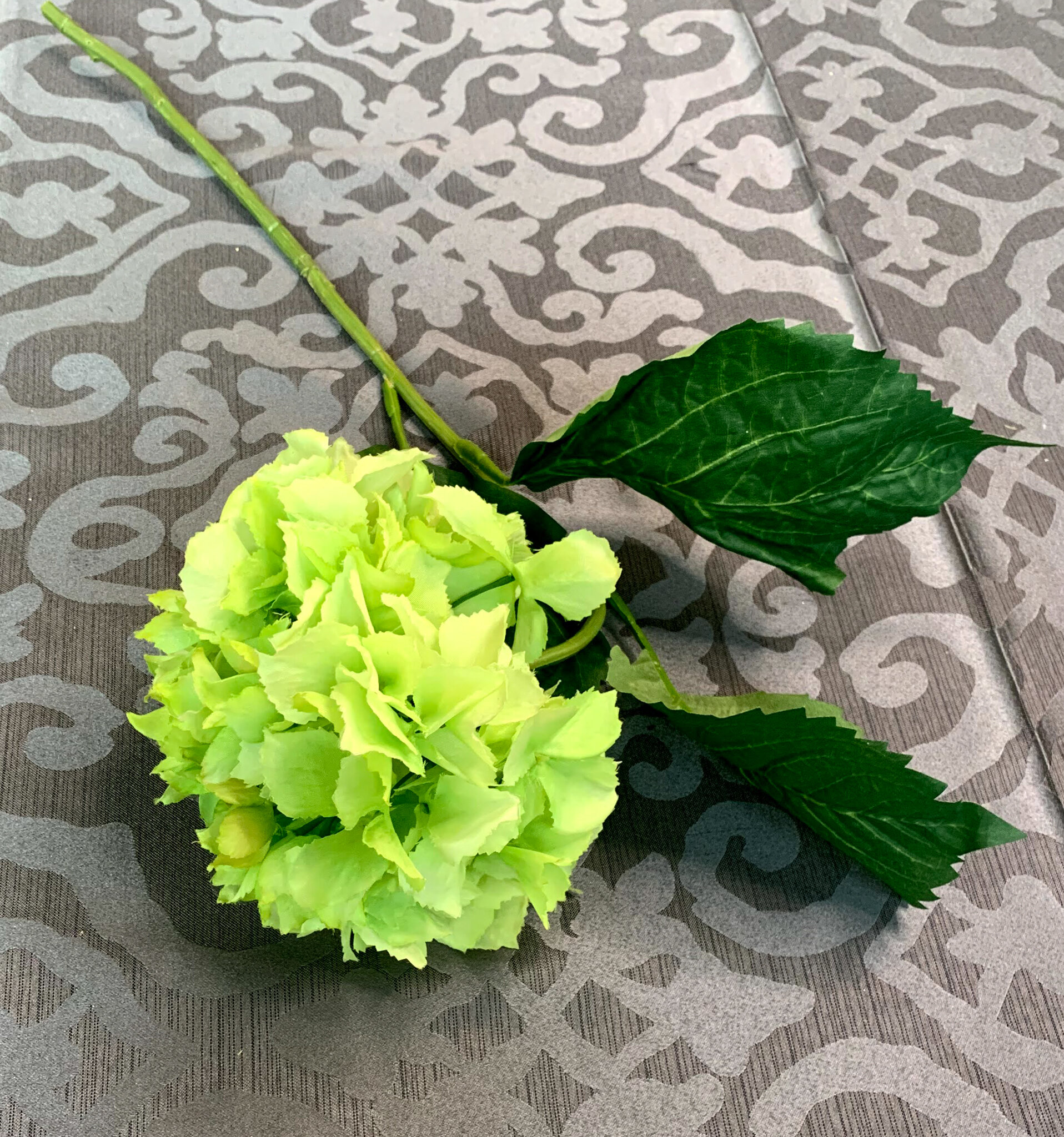 Lime Hydrangeas (FL55)