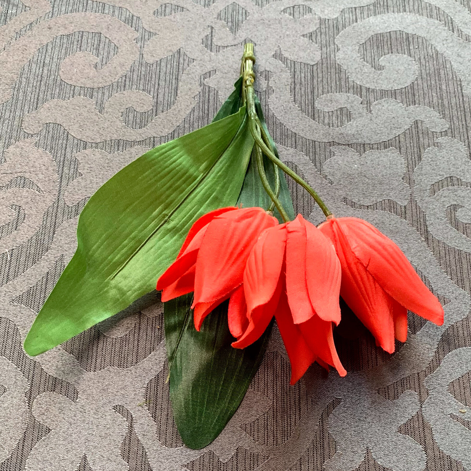 Salmon Pink Tulips (FL61)