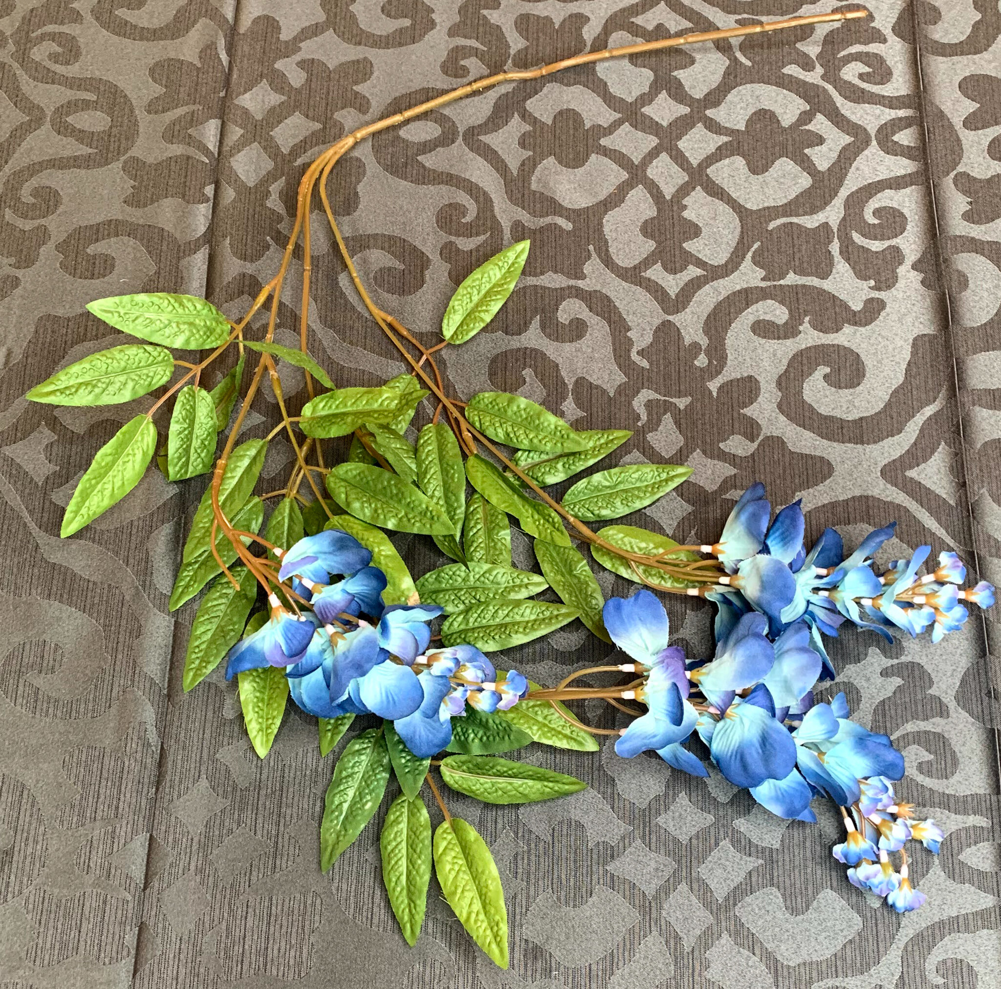 Blue Wisterias (FL67)