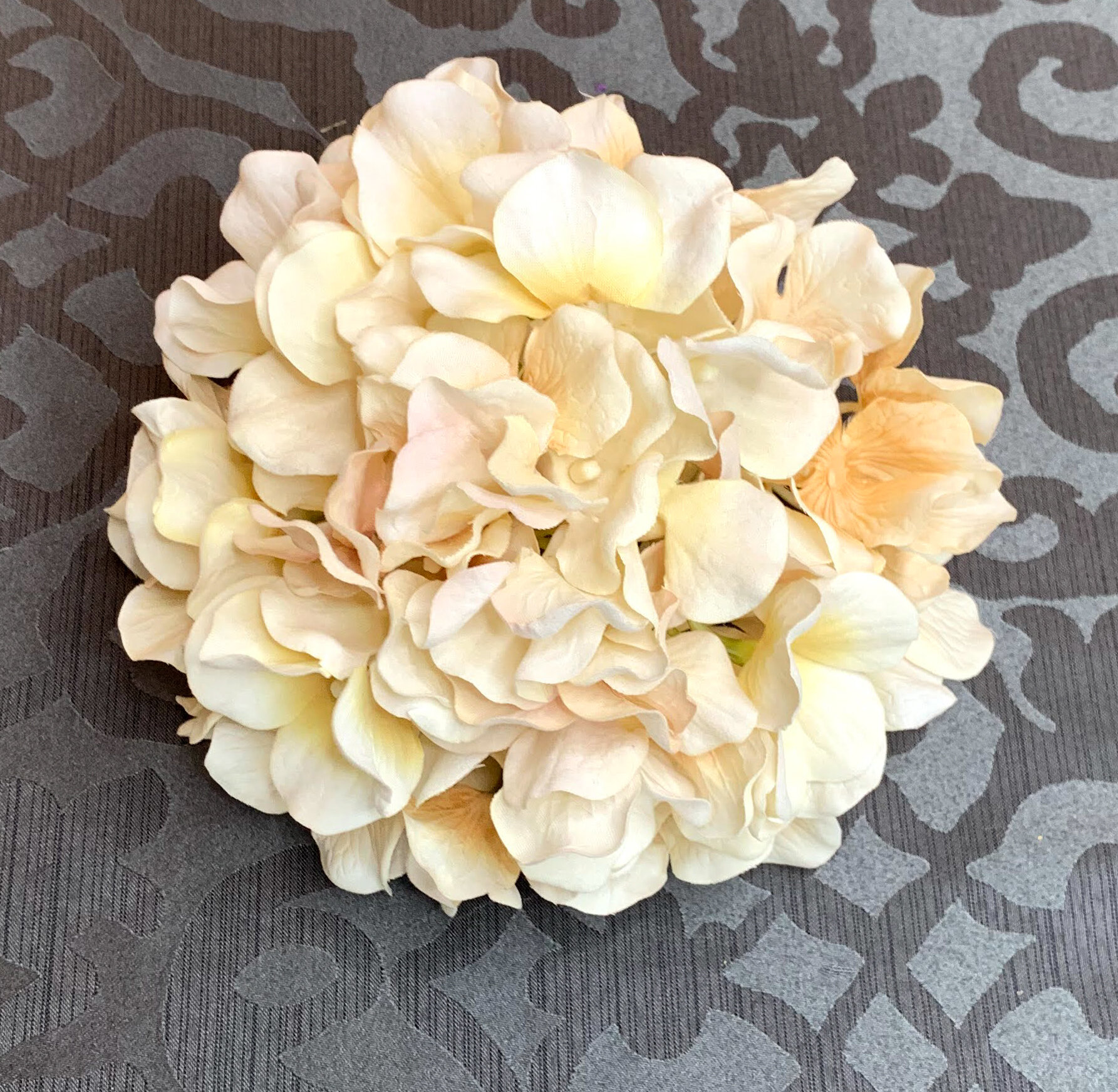 Cream Hydrangea Stems (FL77)