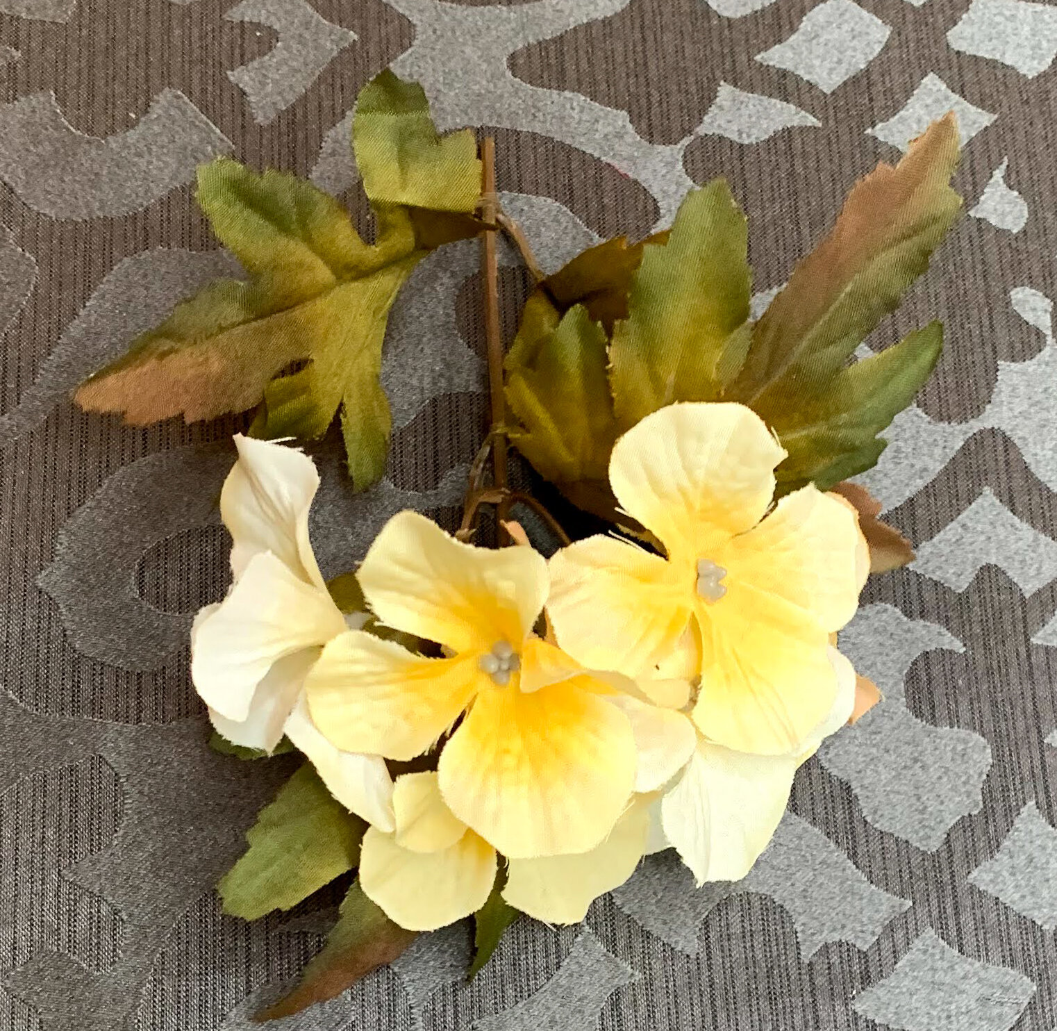 Butter Hydrangea Stems (FL78)