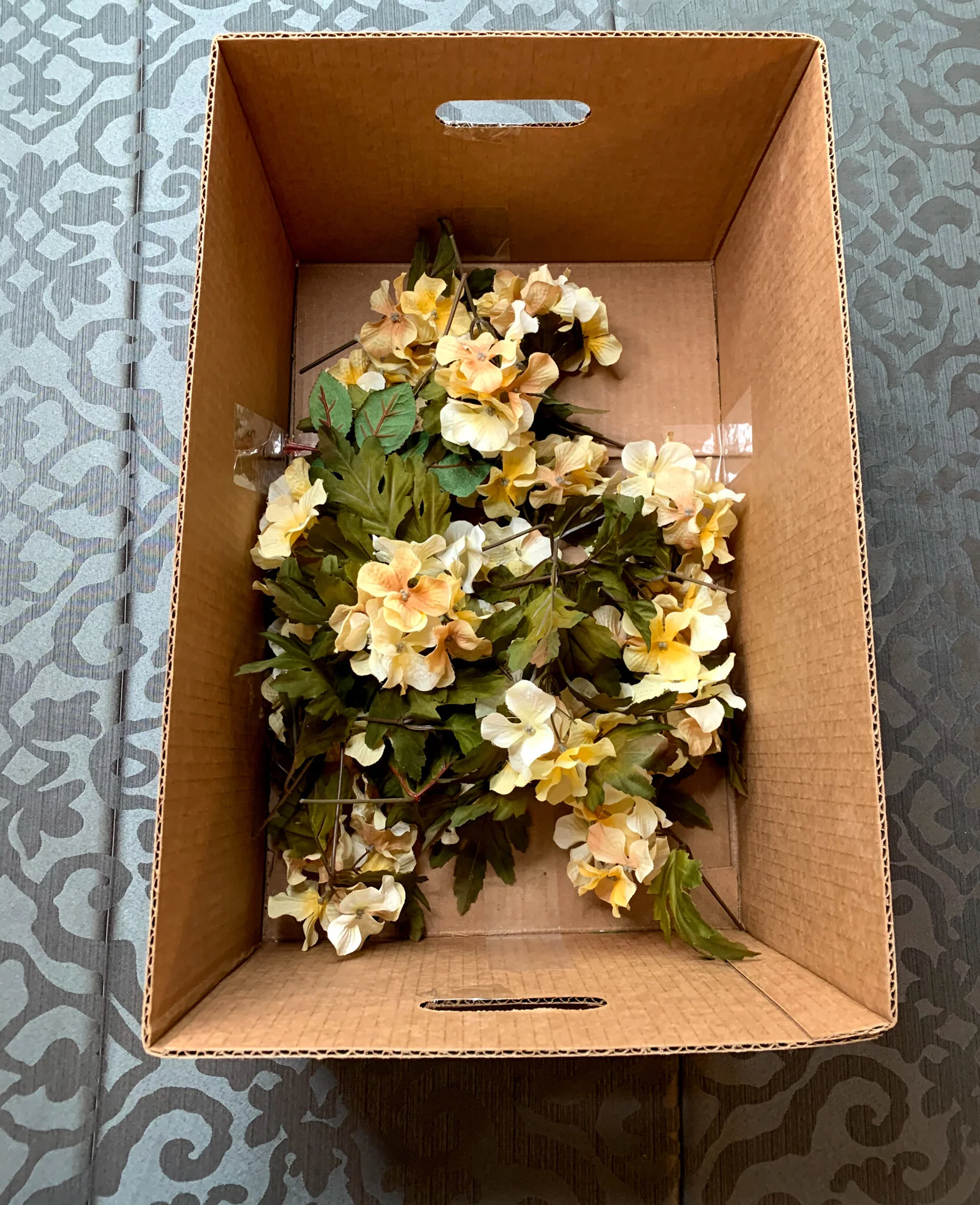 IMG_4685.jpg