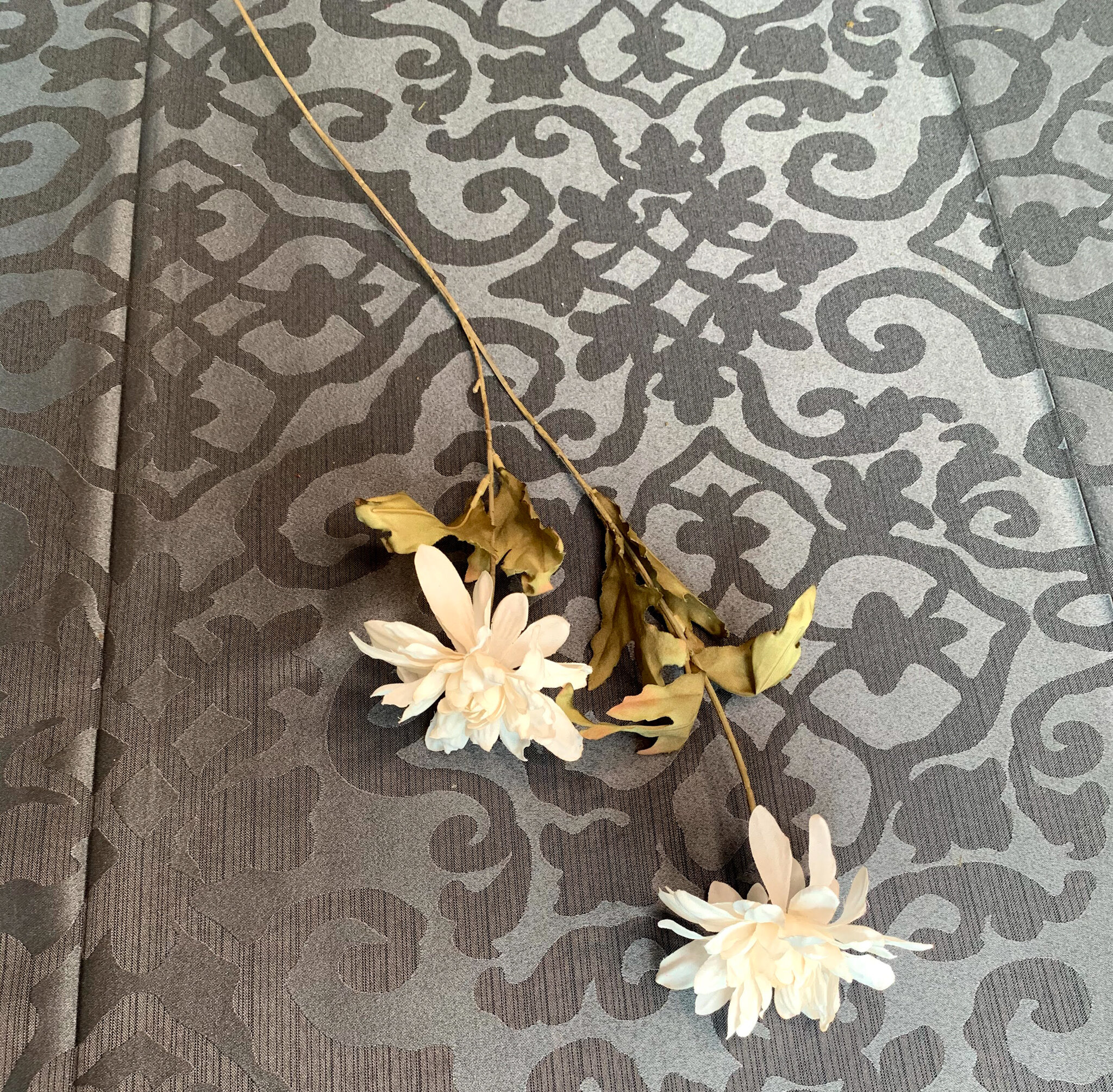 Cream Crysanthemums (FL79)