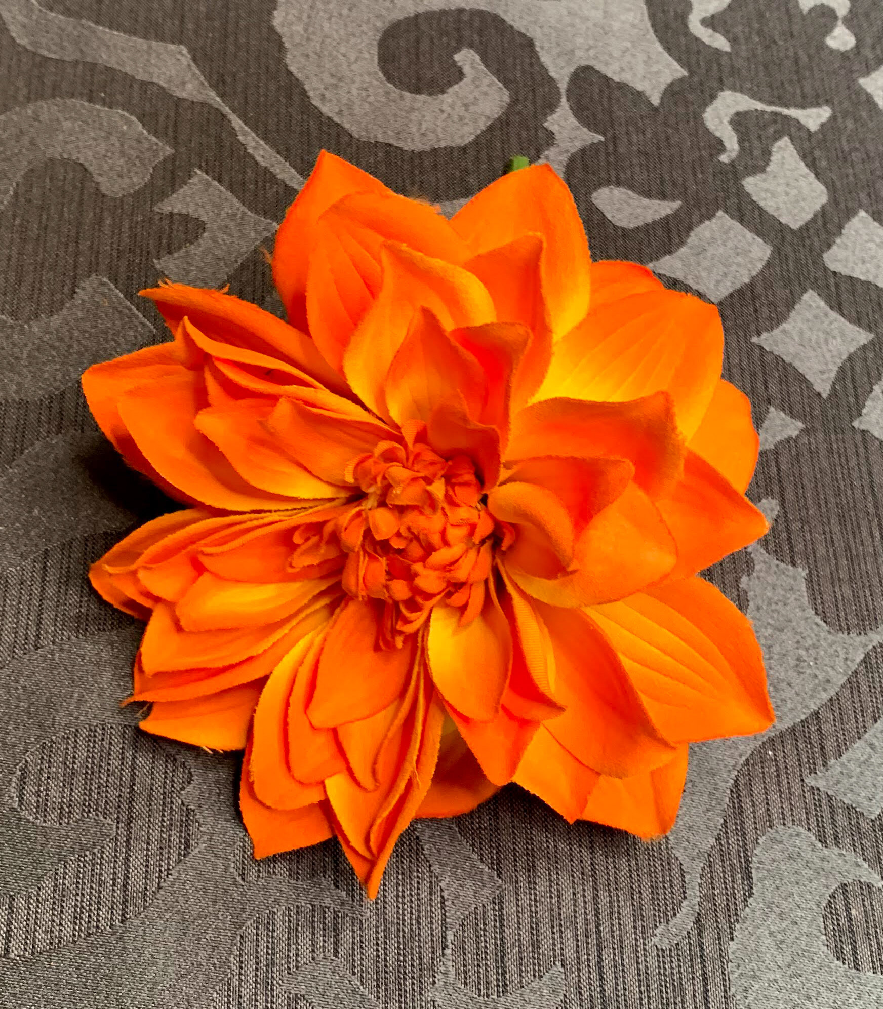 Orange Dahlias (FL95)