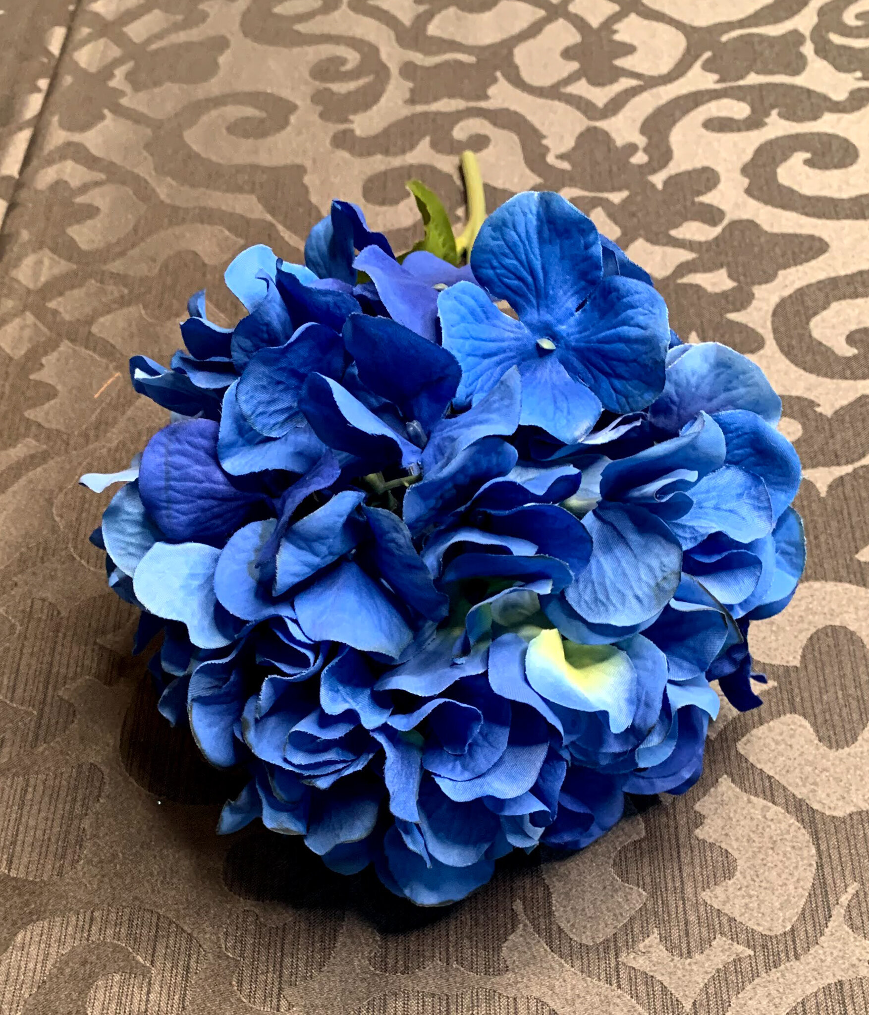 True Blue Hydrangeas (FL97)
