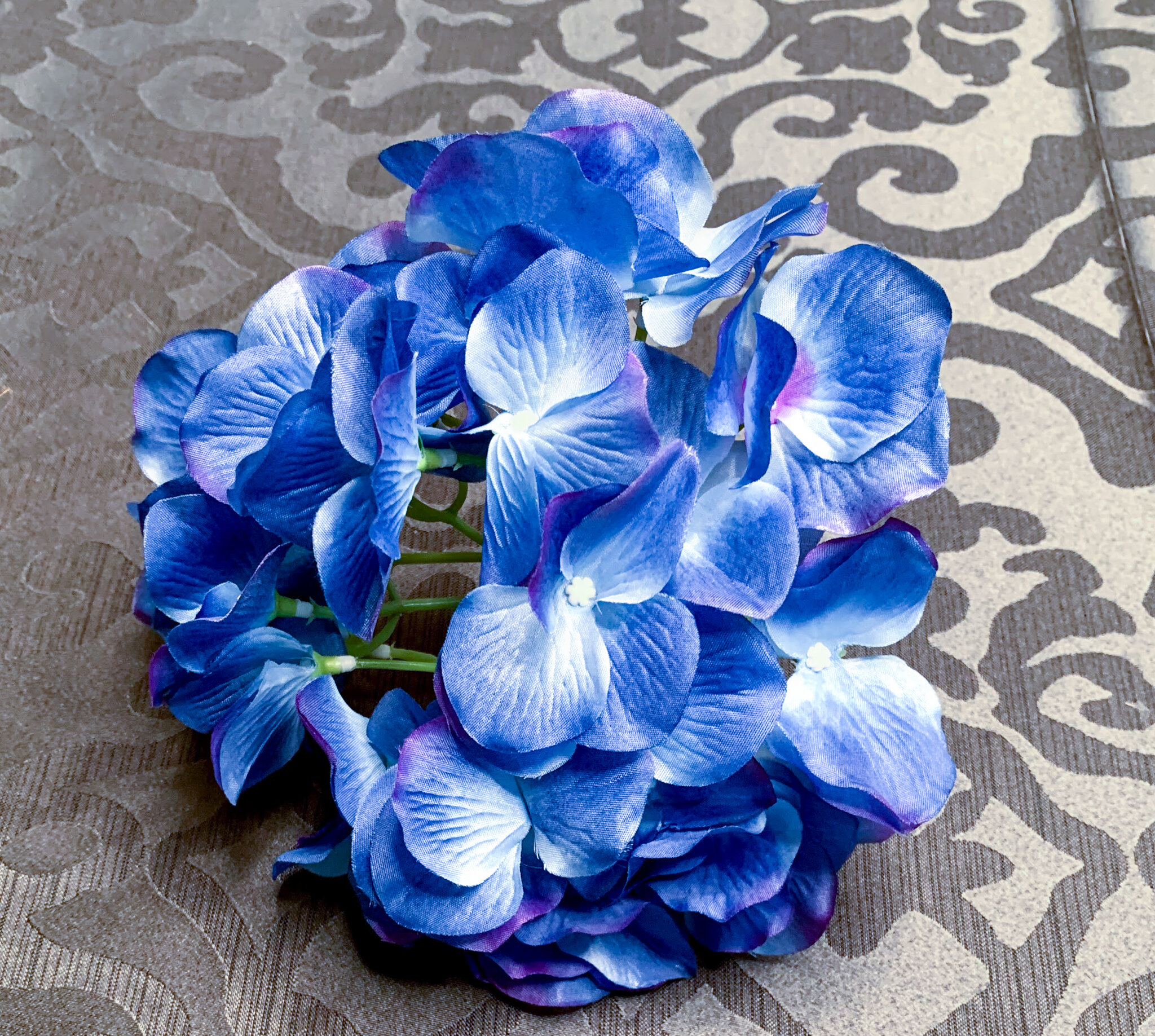 True Blue and Purple Hydrangeas (FL99)