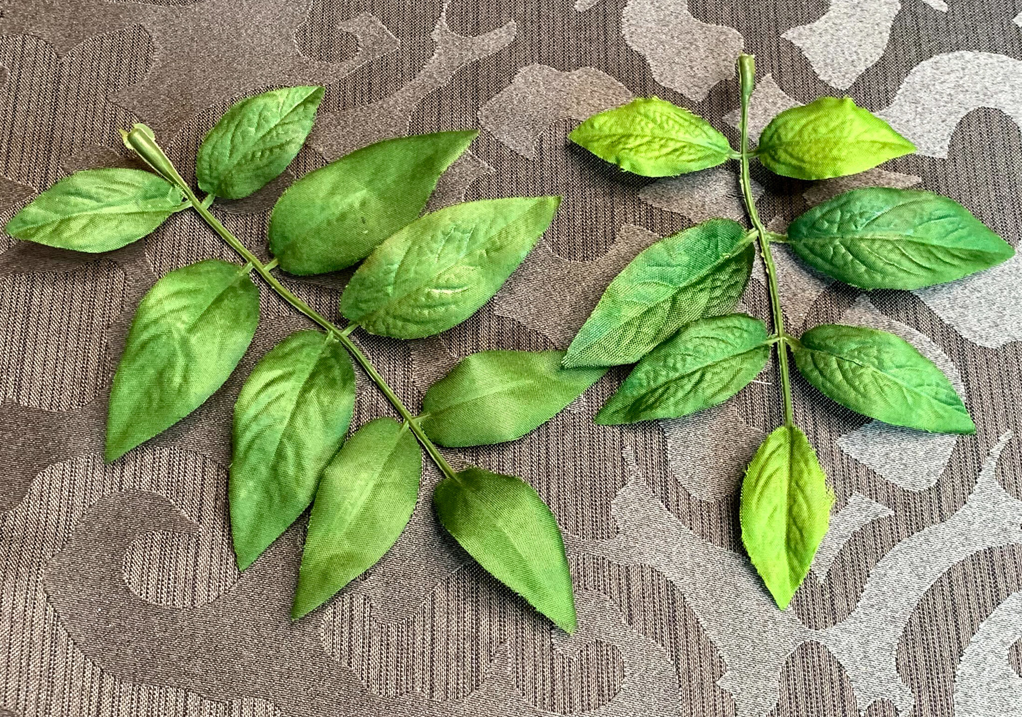 Wisteria Greenery (FL108)