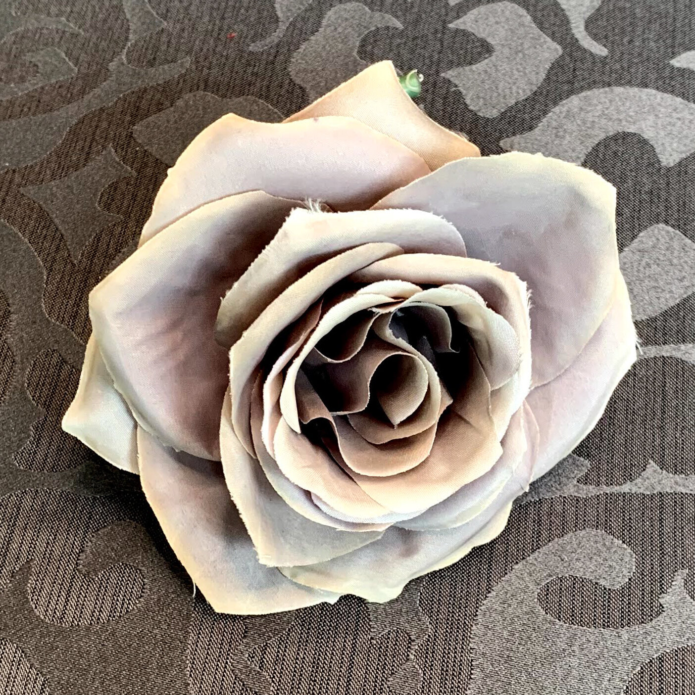 Silver Roses (FL113)