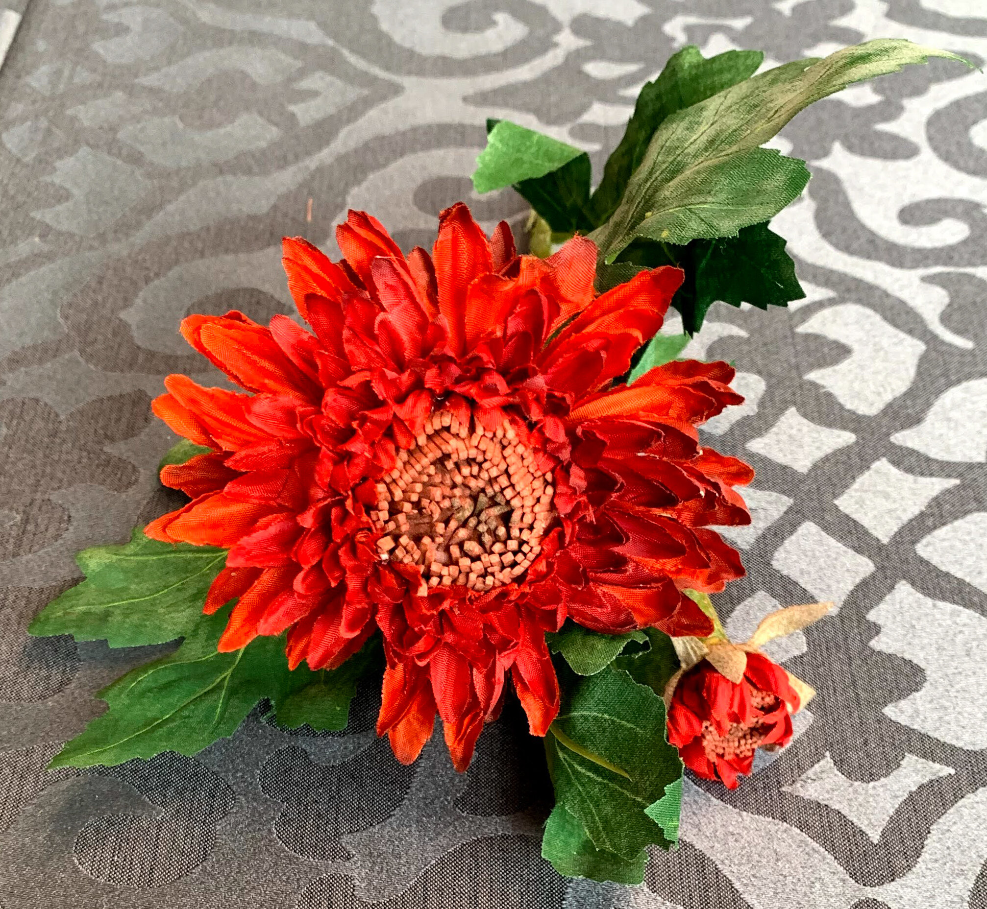 Blazing Dahlias (FL113)