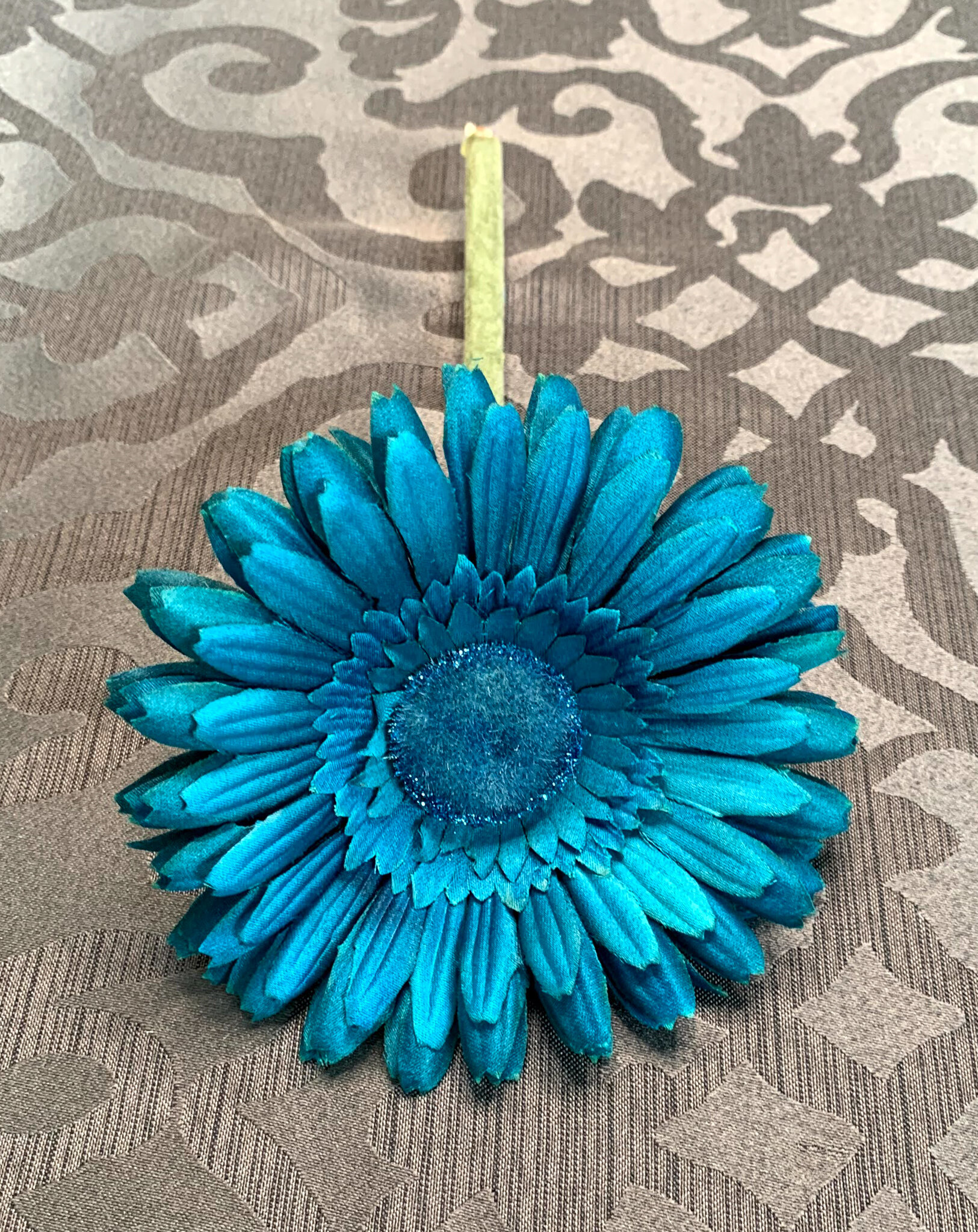 Teal Gerber Daisies (FL118)