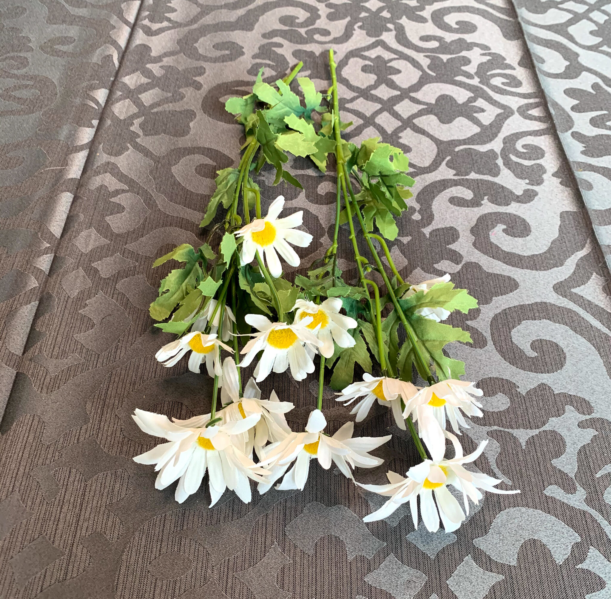 Shasta Daisies (FL121) 