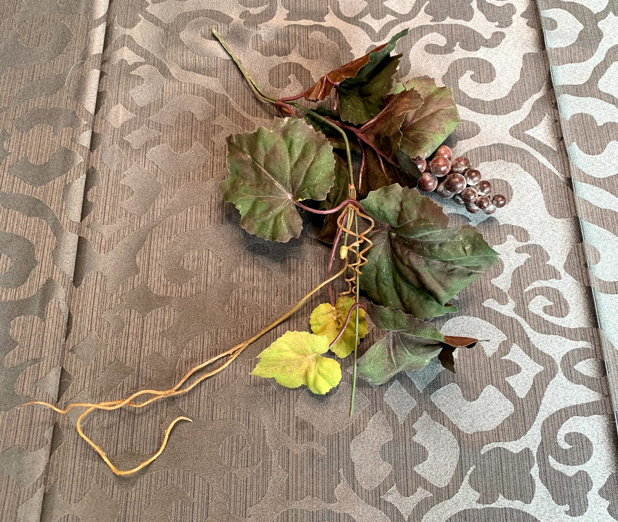 Grape Vine Stems (FL128)