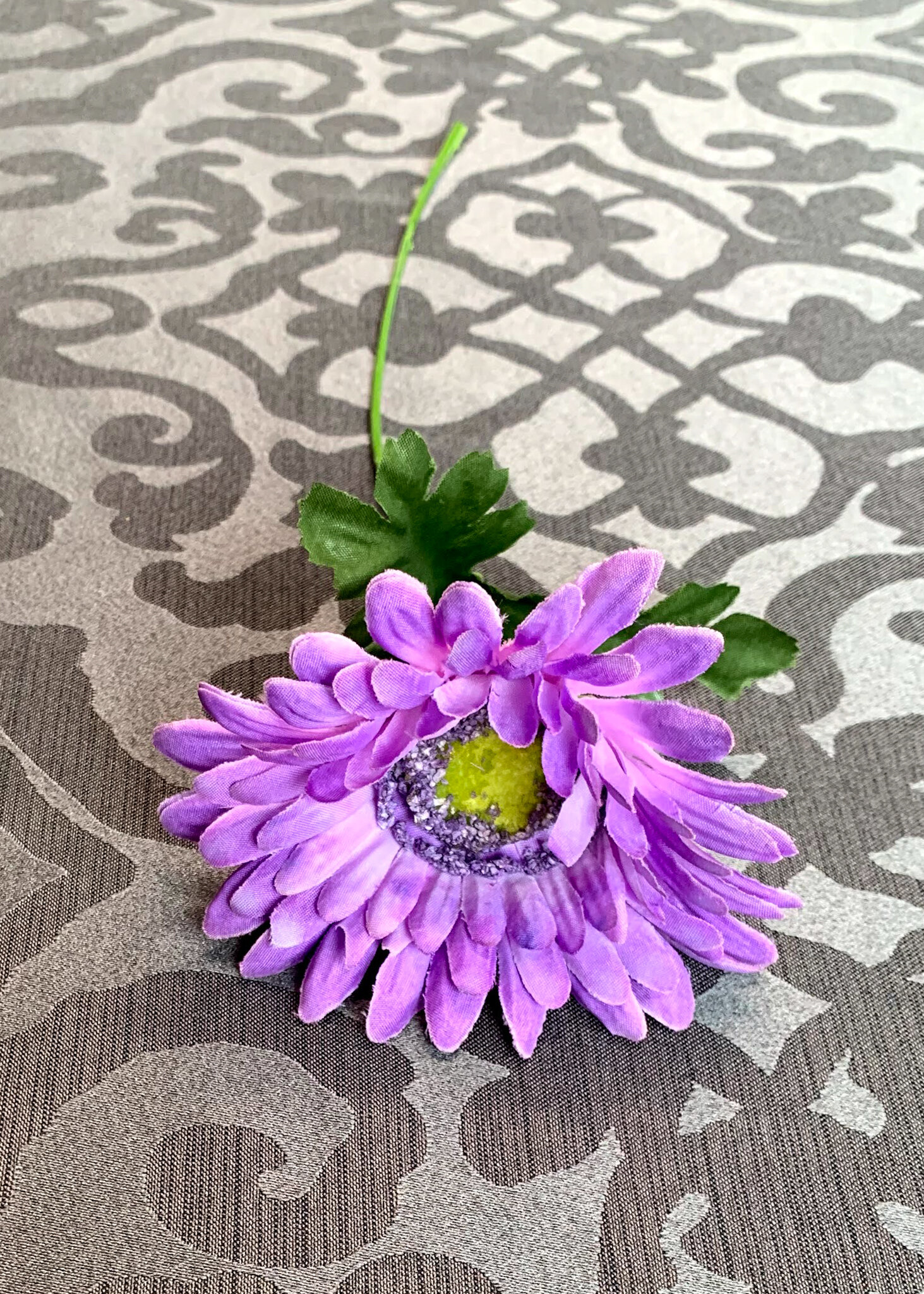 Purple Gerber Daisies (FL144)