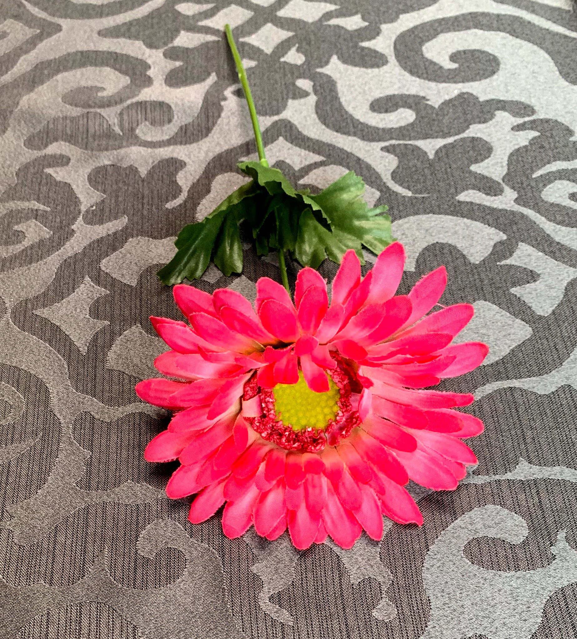Hot Pink Gerber Daisies (FL144)