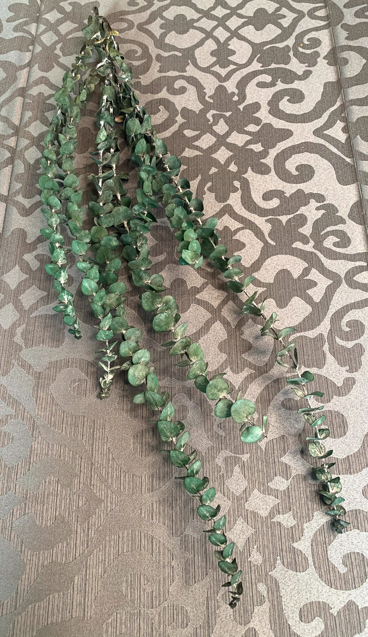 Dark Eucalyptus (FL82)