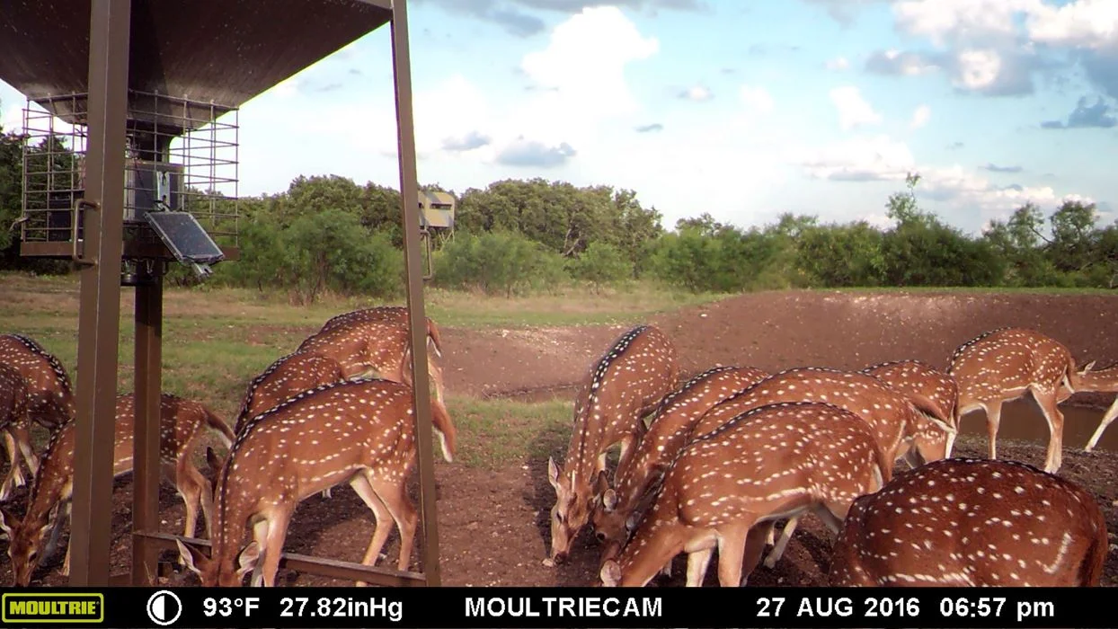 Lodging The 507 Ranch — The 507 Ranch