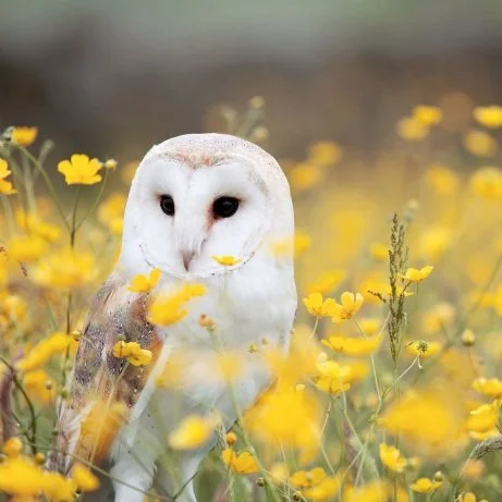 Intro to Mediumship