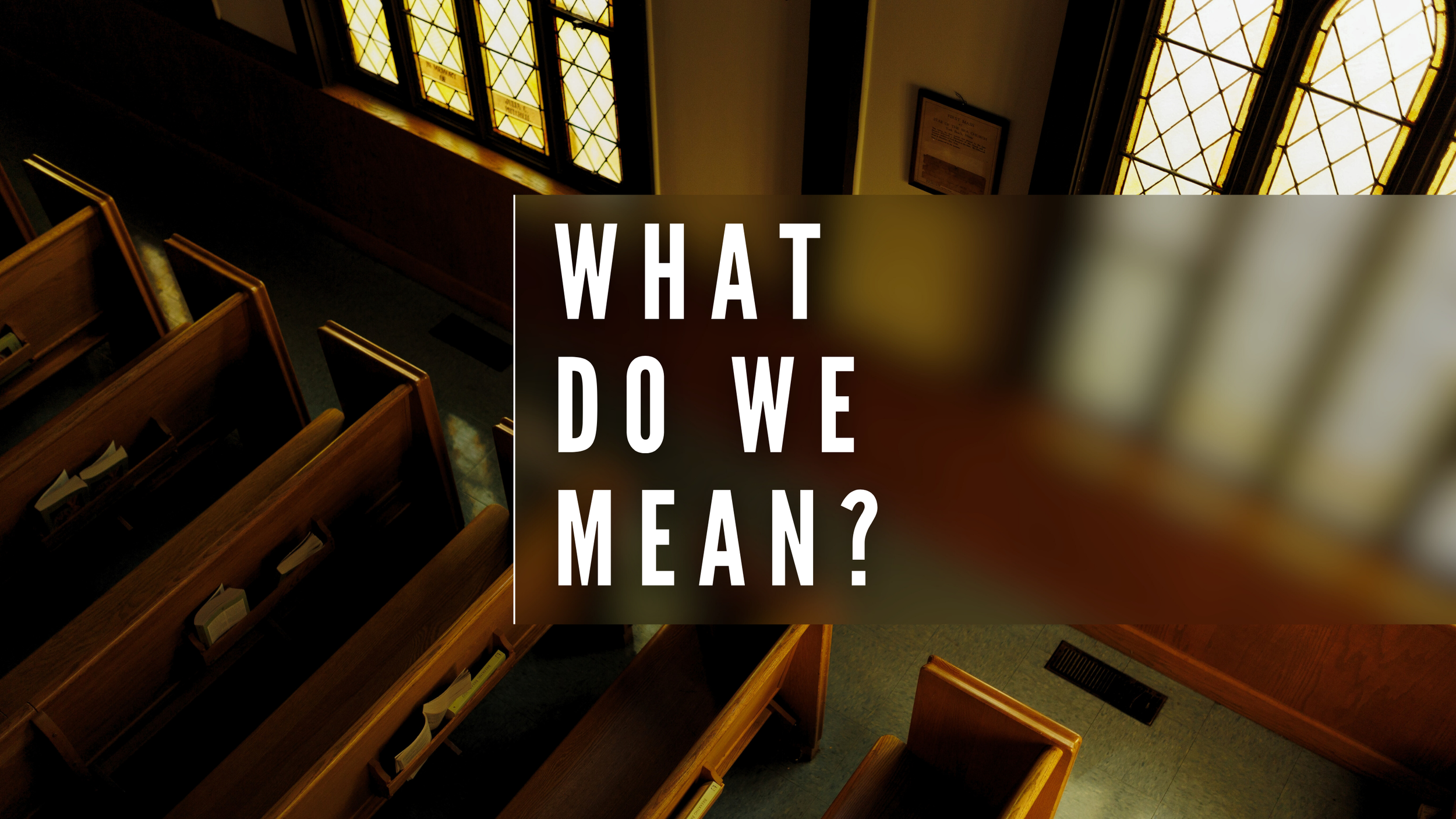 What Do We Mean (2).png