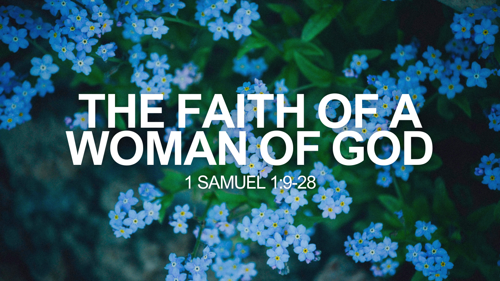 the faith of a woman of god (1).png