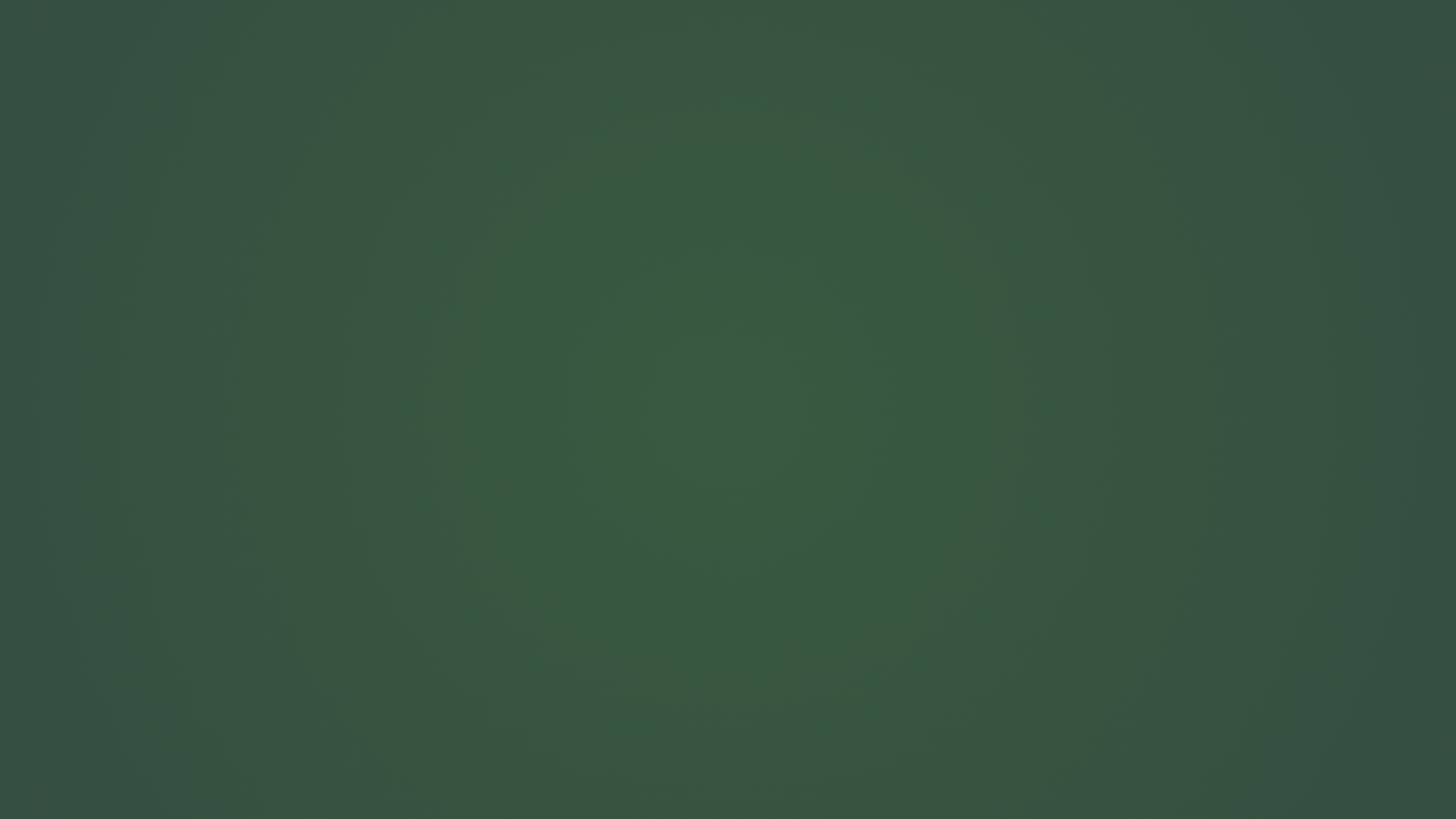 the light still shines (1).png