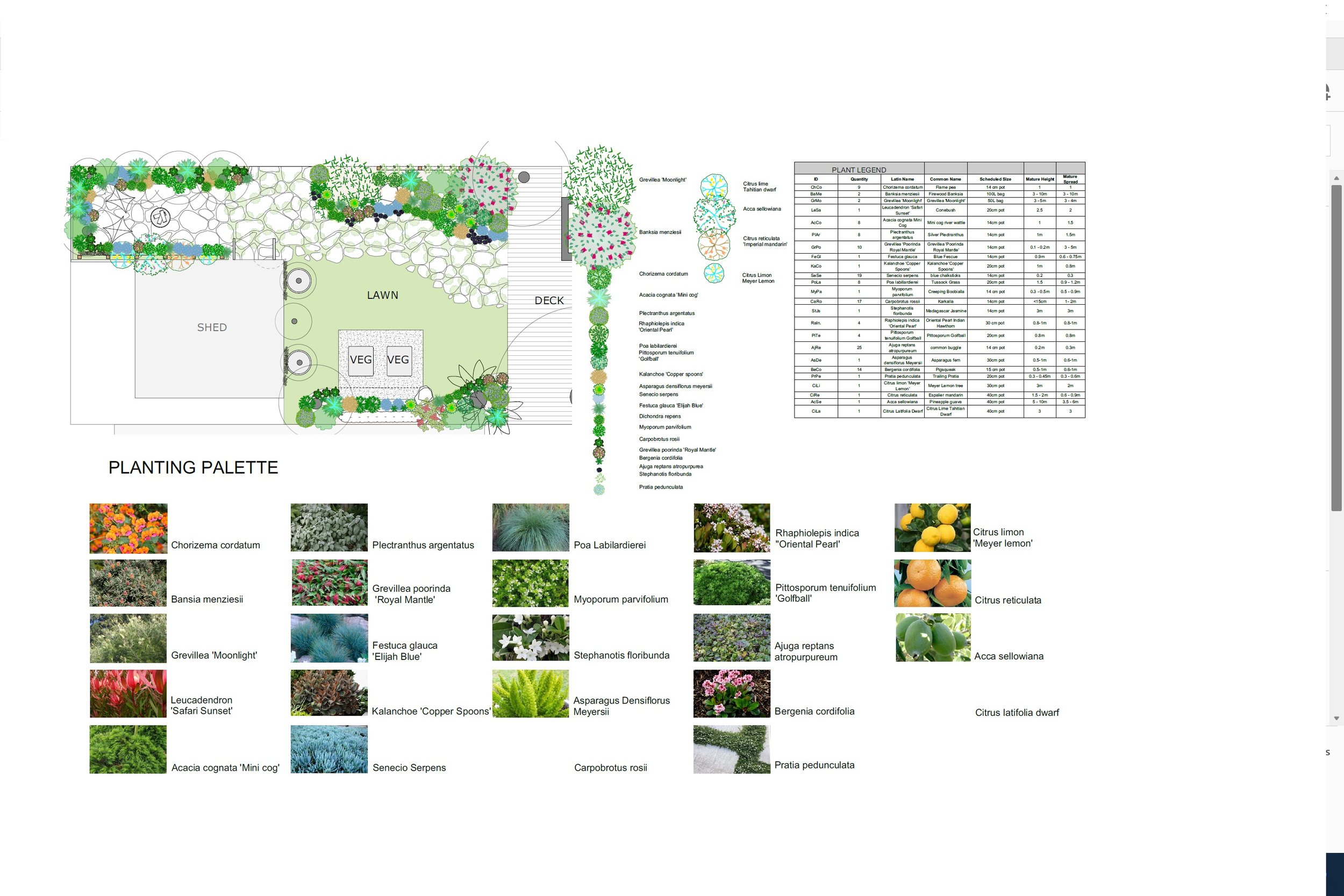 planting plan example cropped.jpg