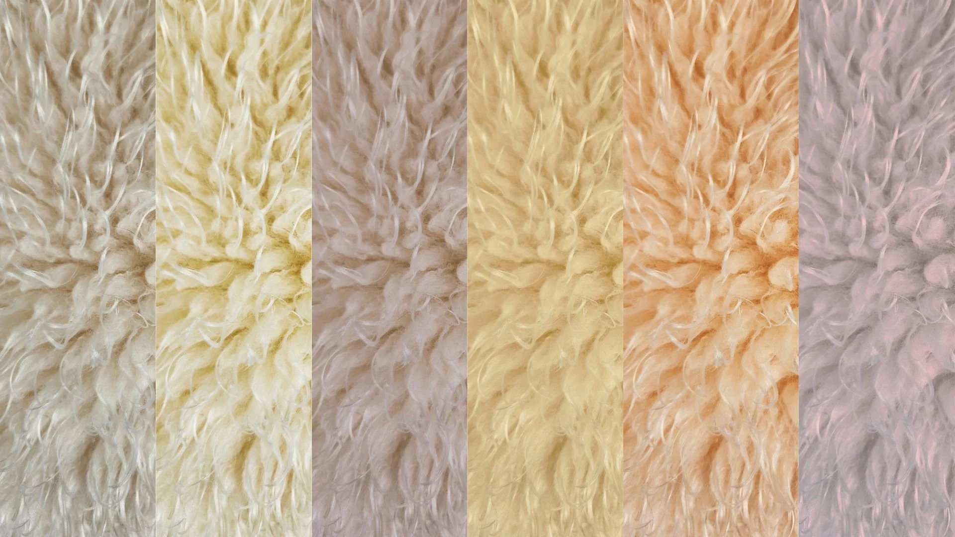 Rugs — CBS Manufacturing Group