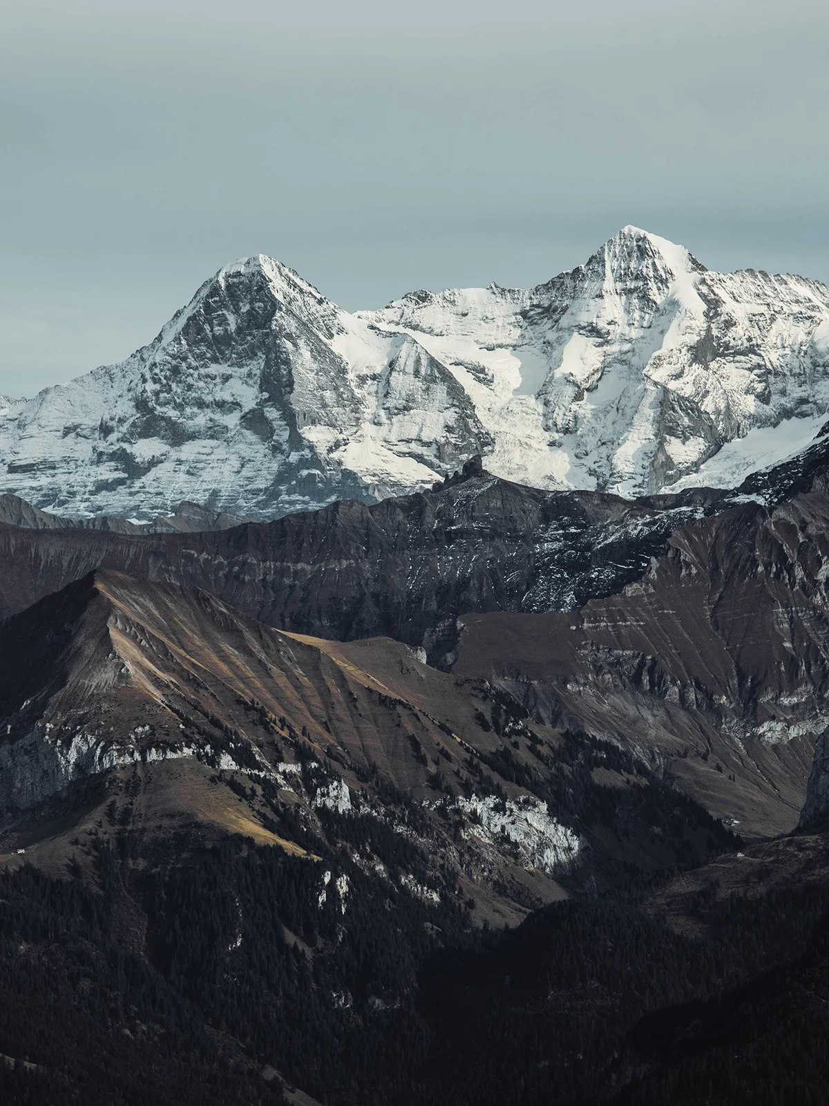 santiago-gomez-240061-unsplash-copy.jpg