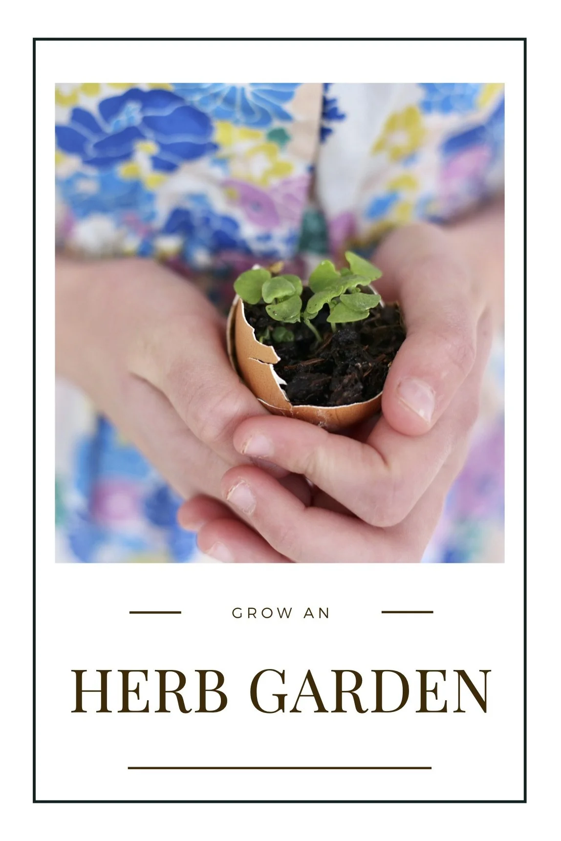 Grow an Herb Garden (1).jpg