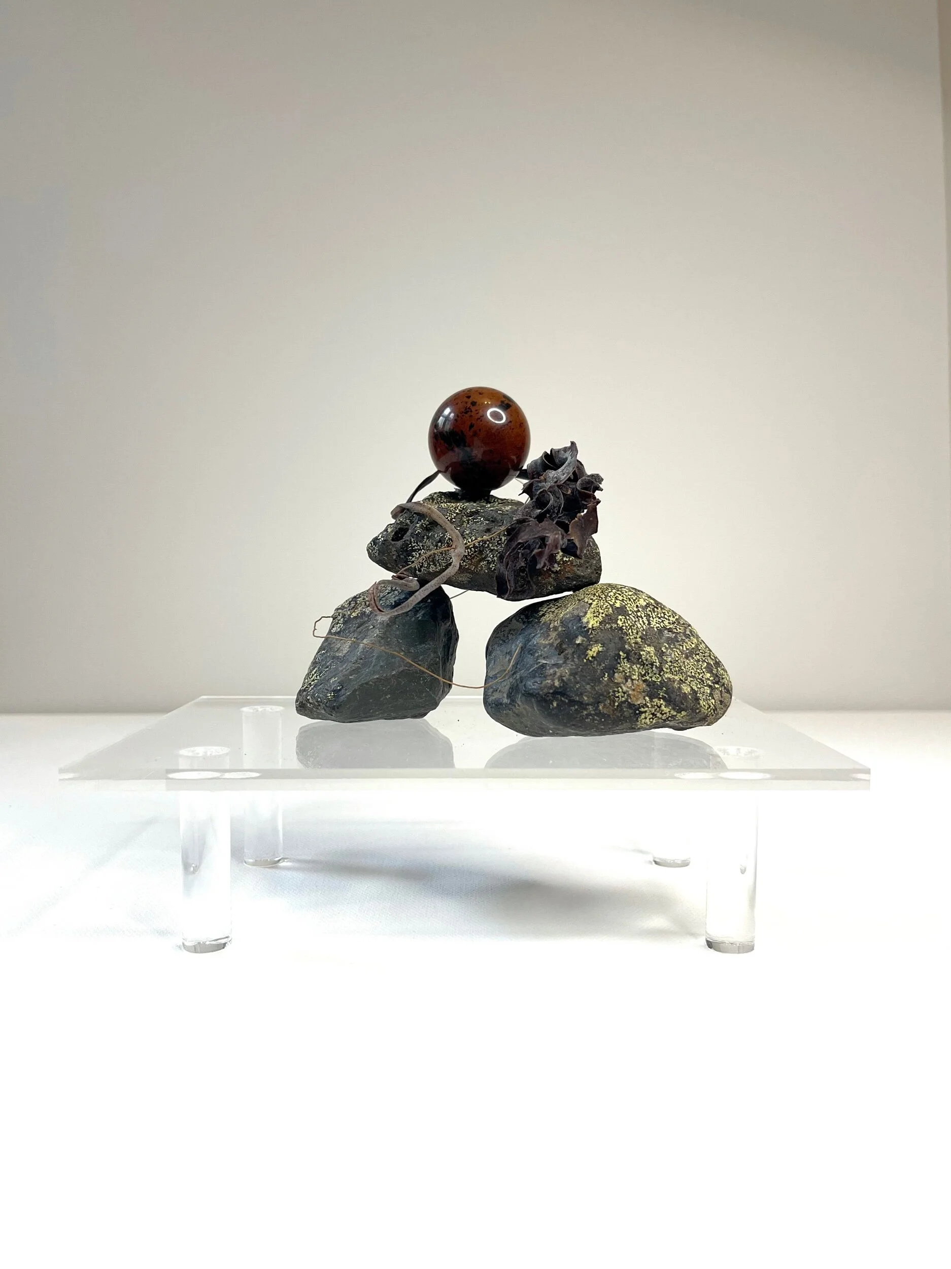 F0EA76BC-D7E3-4D10-BA6C-588513CF5561