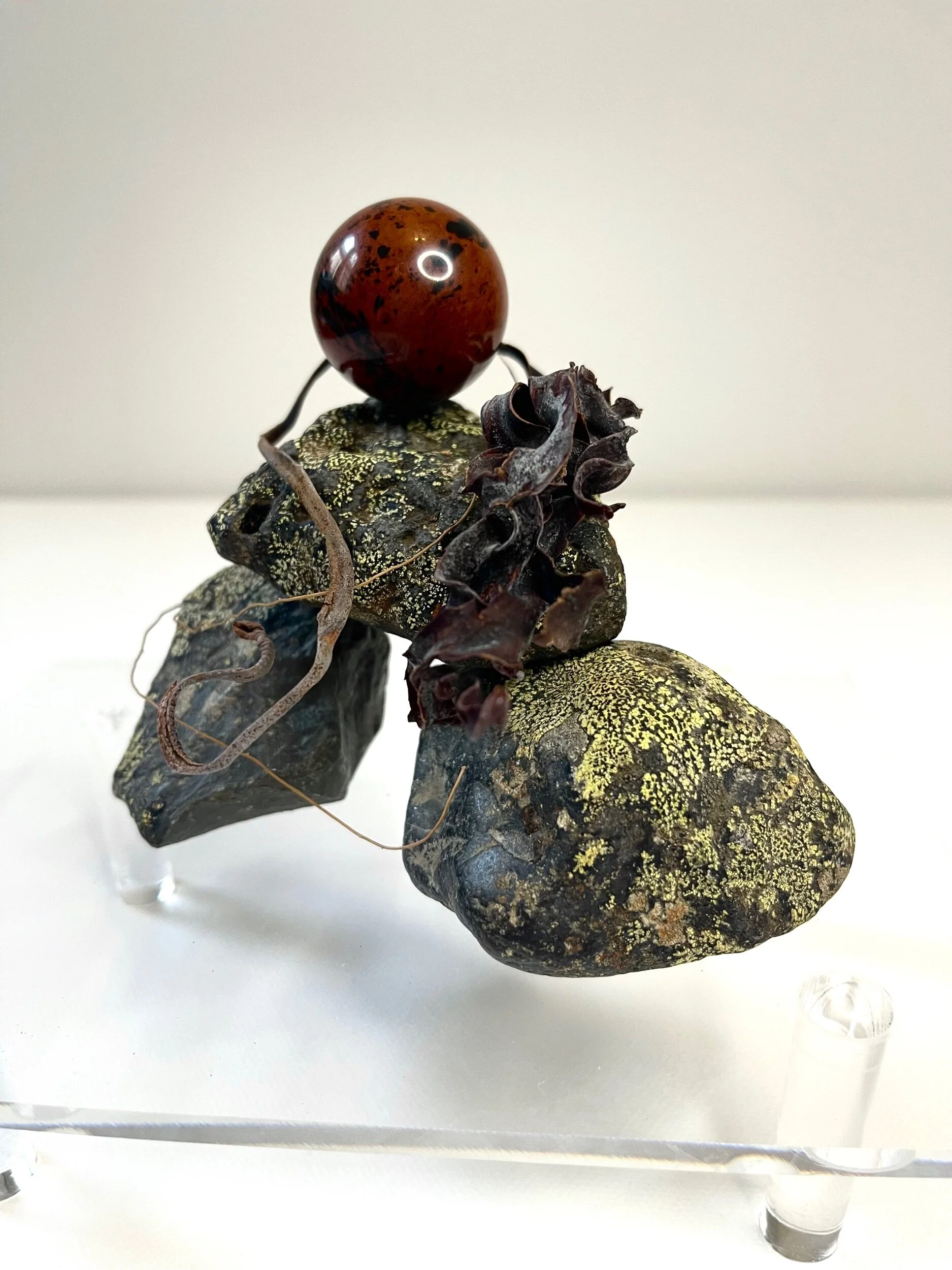 DDA32C70-4058-4FF1-9FA8-1D88837A0776