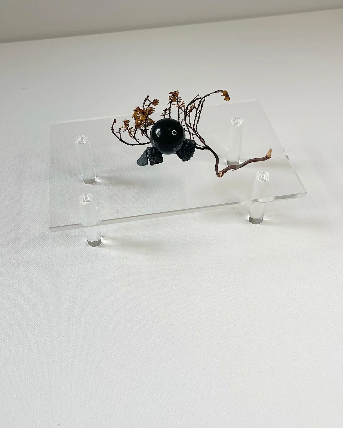 F3BDBA60-931F-4296-8DE4-0F9E931BF24F