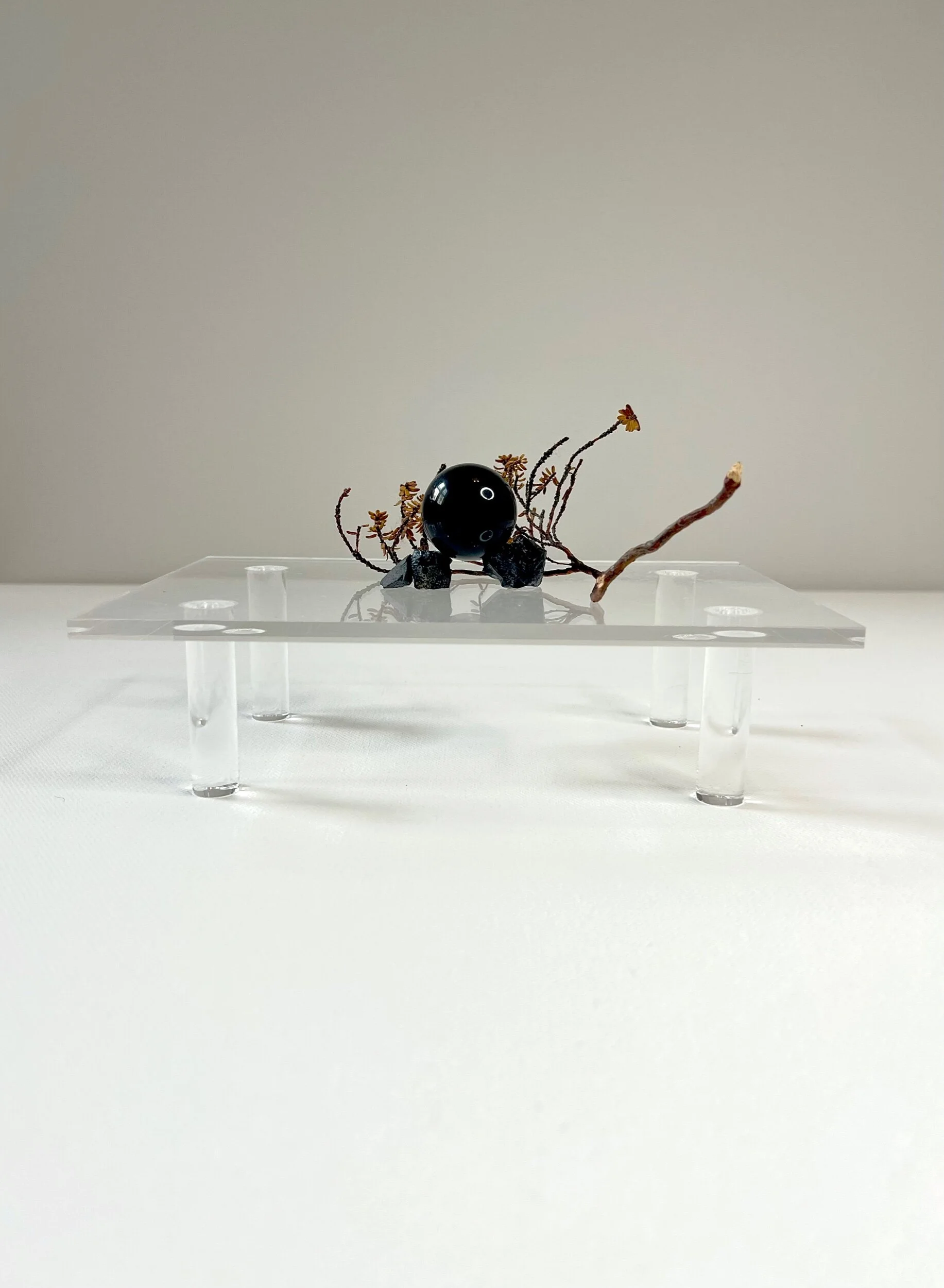 20AE81B8-8E0D-46C9-9593-1878B6A7496D