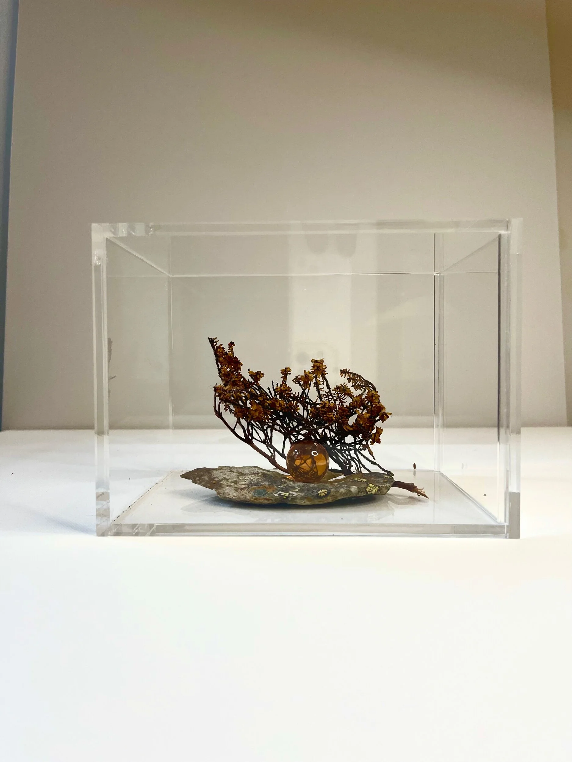 D3767C42-29E2-477E-AA8A-2262F5E4B6C4