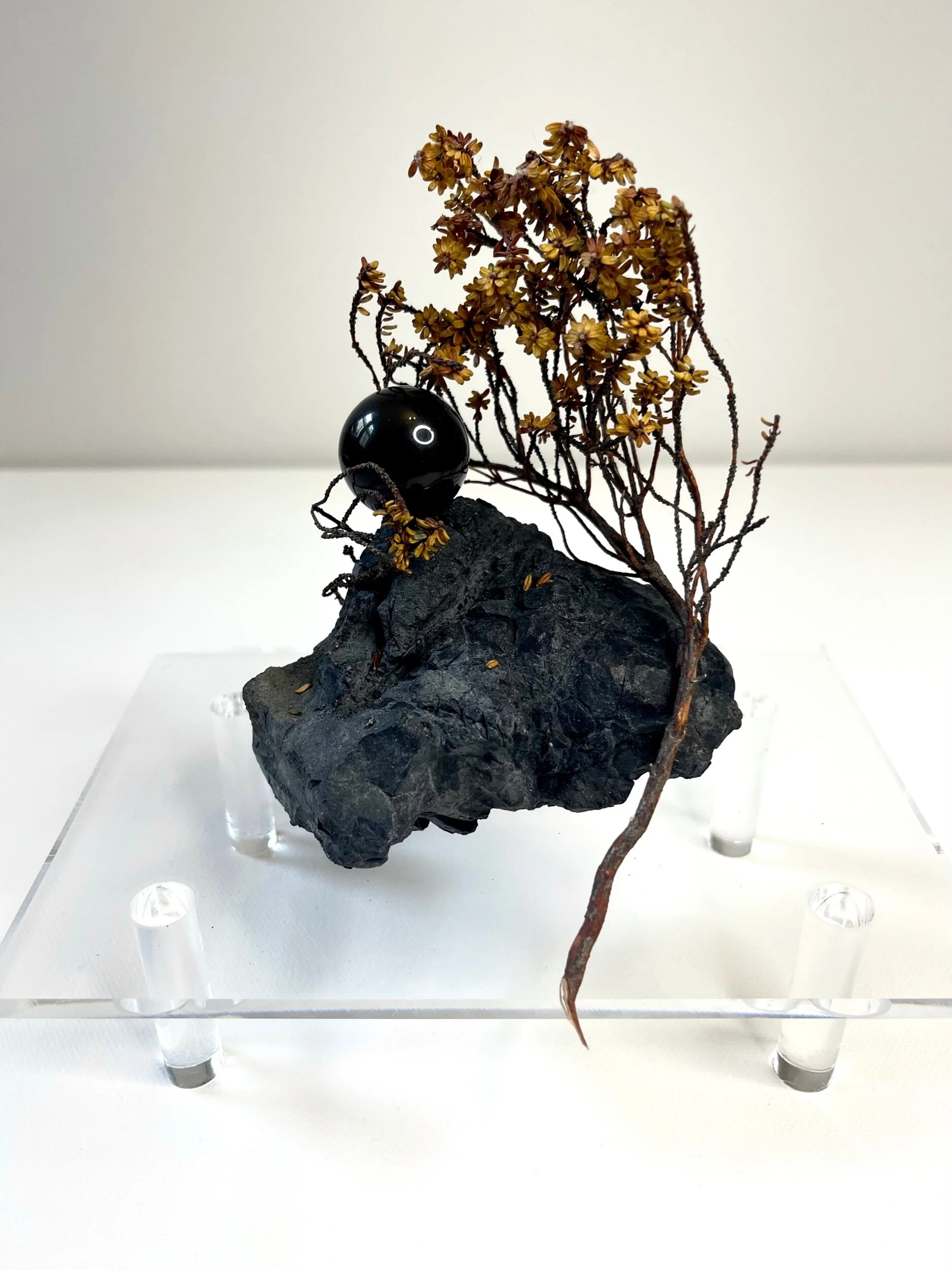 E0D0376B-0425-4AE7-AA3F-1E7AD478D5CE