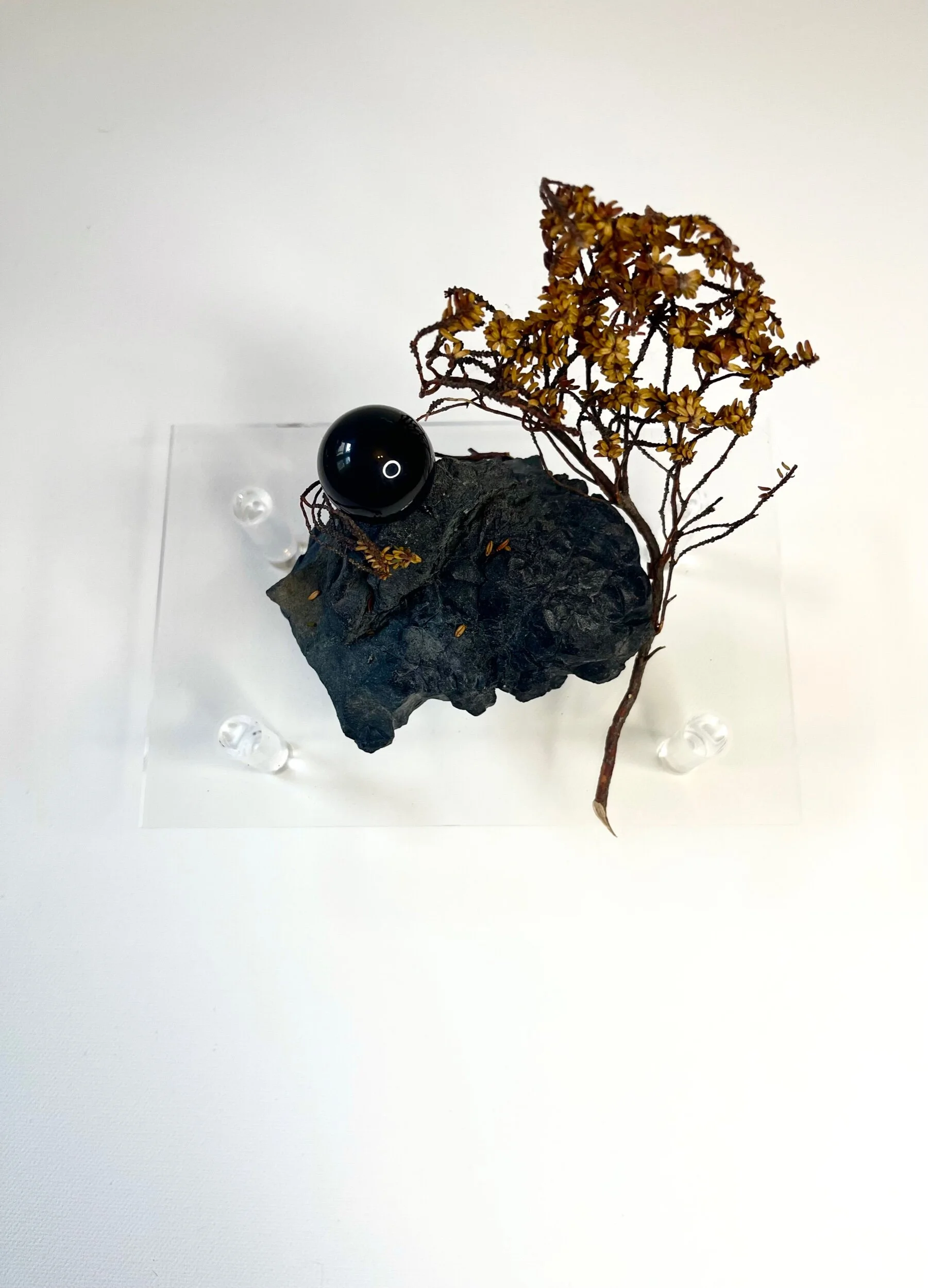 54364DE8-1B13-4B9A-93C2-D542F63B7F05