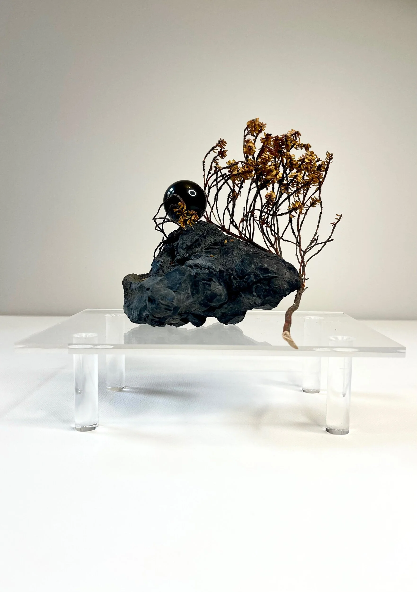 1CC9B49A-A366-4FFD-A7BE-16455B0EA7F2