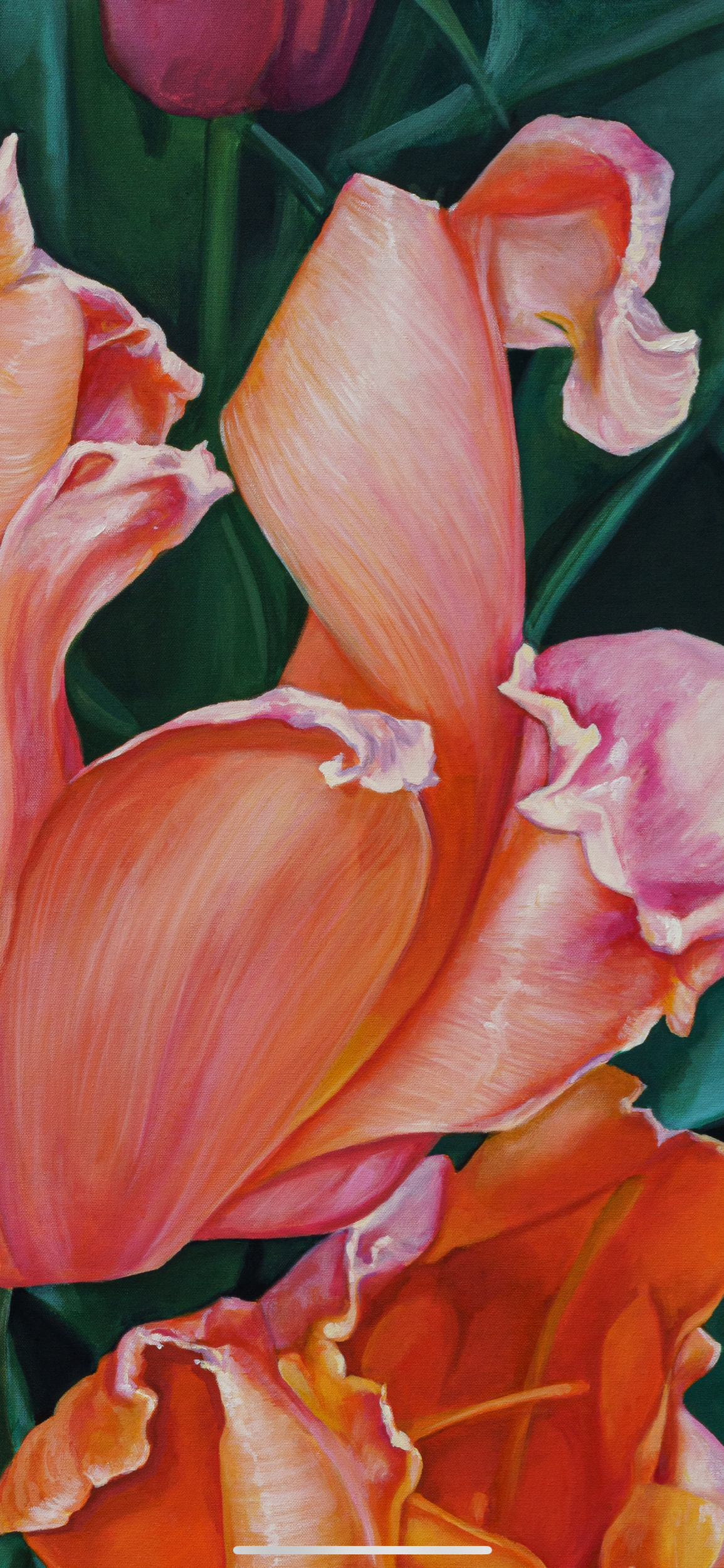 3E214E60-BAAC-443D-BFC1-3CC008C26A13