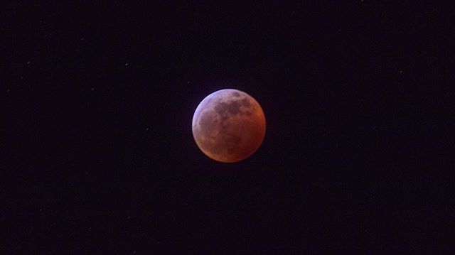 Super Blood Wolf Moon Eclipse 🌚