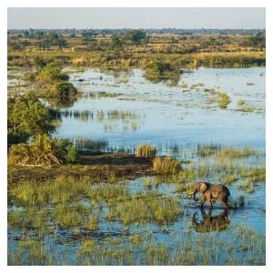  Okavango Delta 