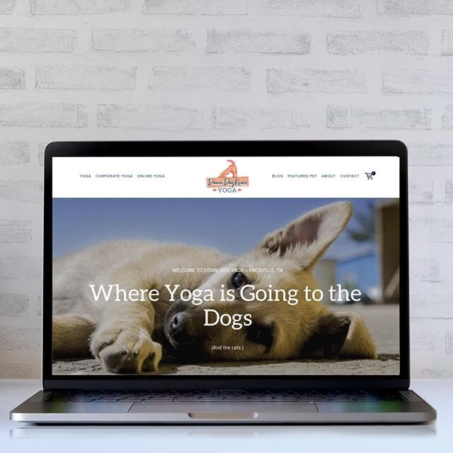Wish your yoga practice could make the world a better place? Now it can--at least for the rescue animals of Knoxville, TN! Thrilled to celebrate the launch of the Down Dog Knox website! Proceeds from yoga classes at Down Dog Knox go to support dogs, 