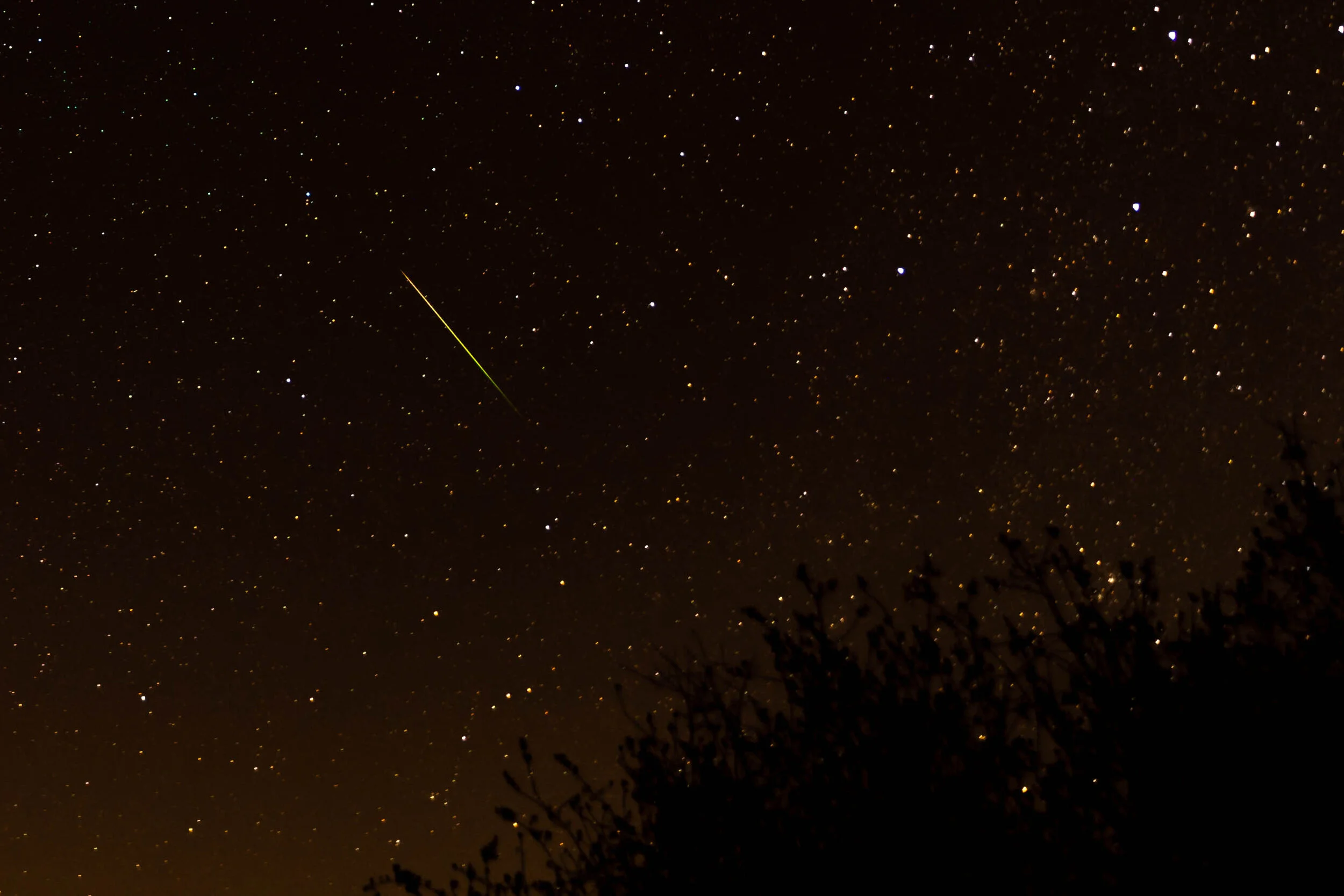 Perseid Meteor Shower
