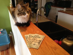 Invoice and Payment.png