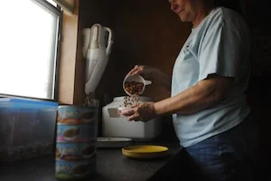 Cat food.jpg