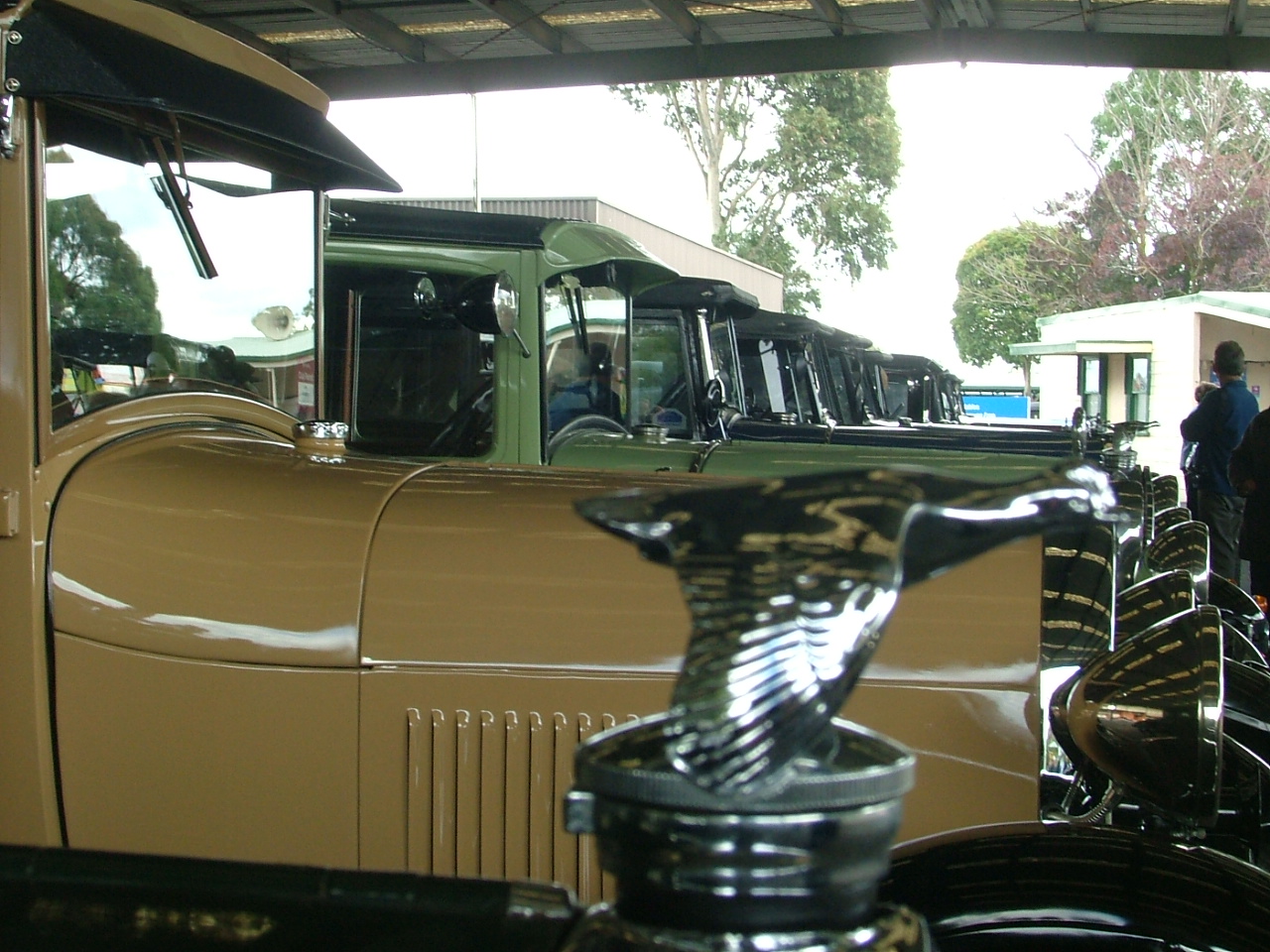 dscf2372.jpg