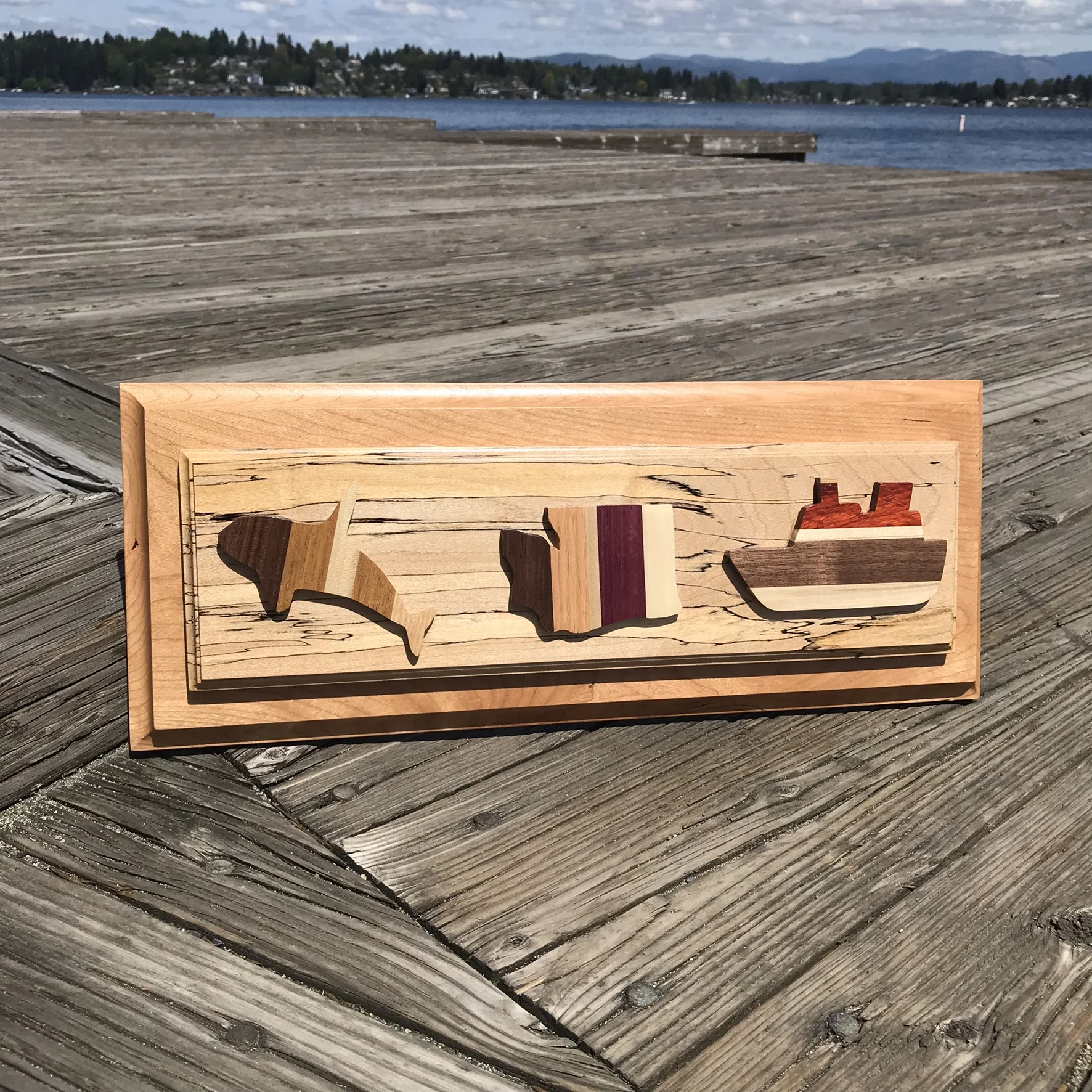 PNW Art- Salish Sea