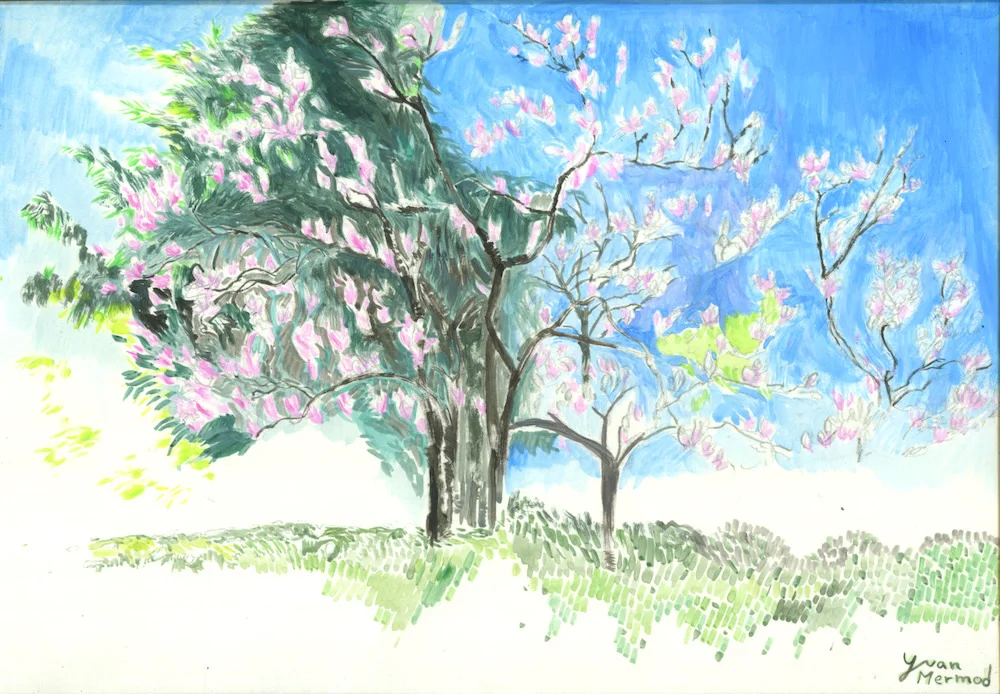 magnoliagrandiflore_red.jpg