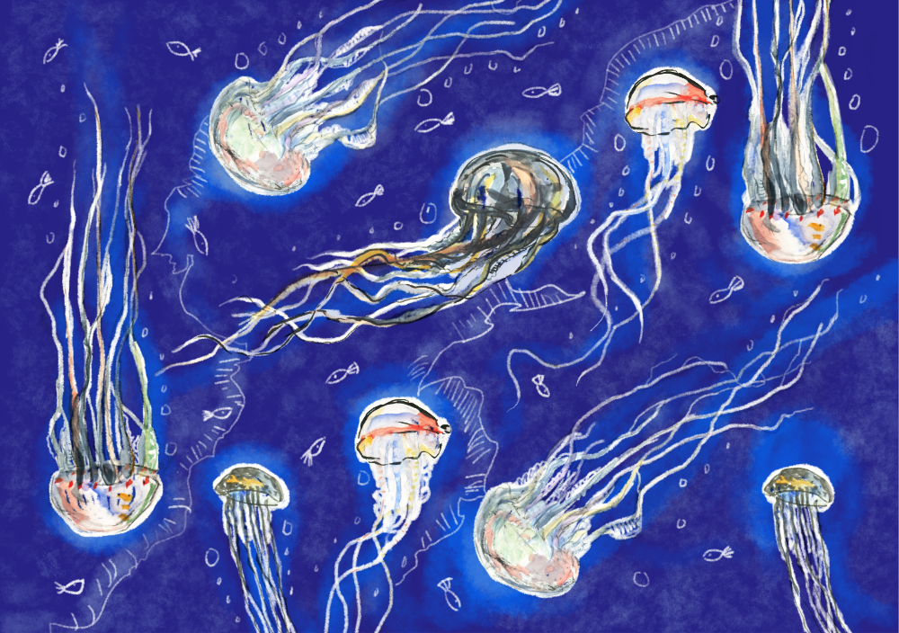 pattern_meduses.png