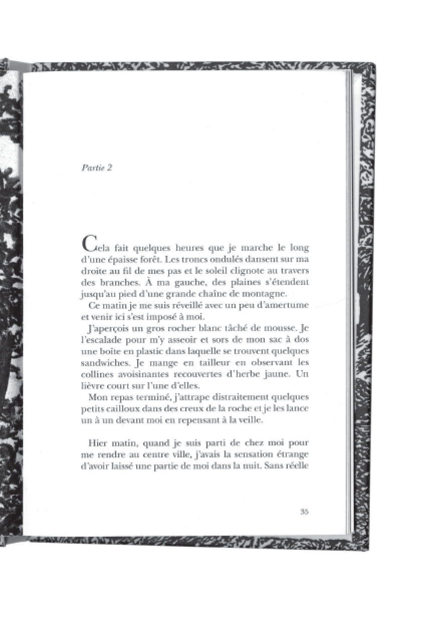 Capture d’écran 2018-05-27 à 23.30.11.png